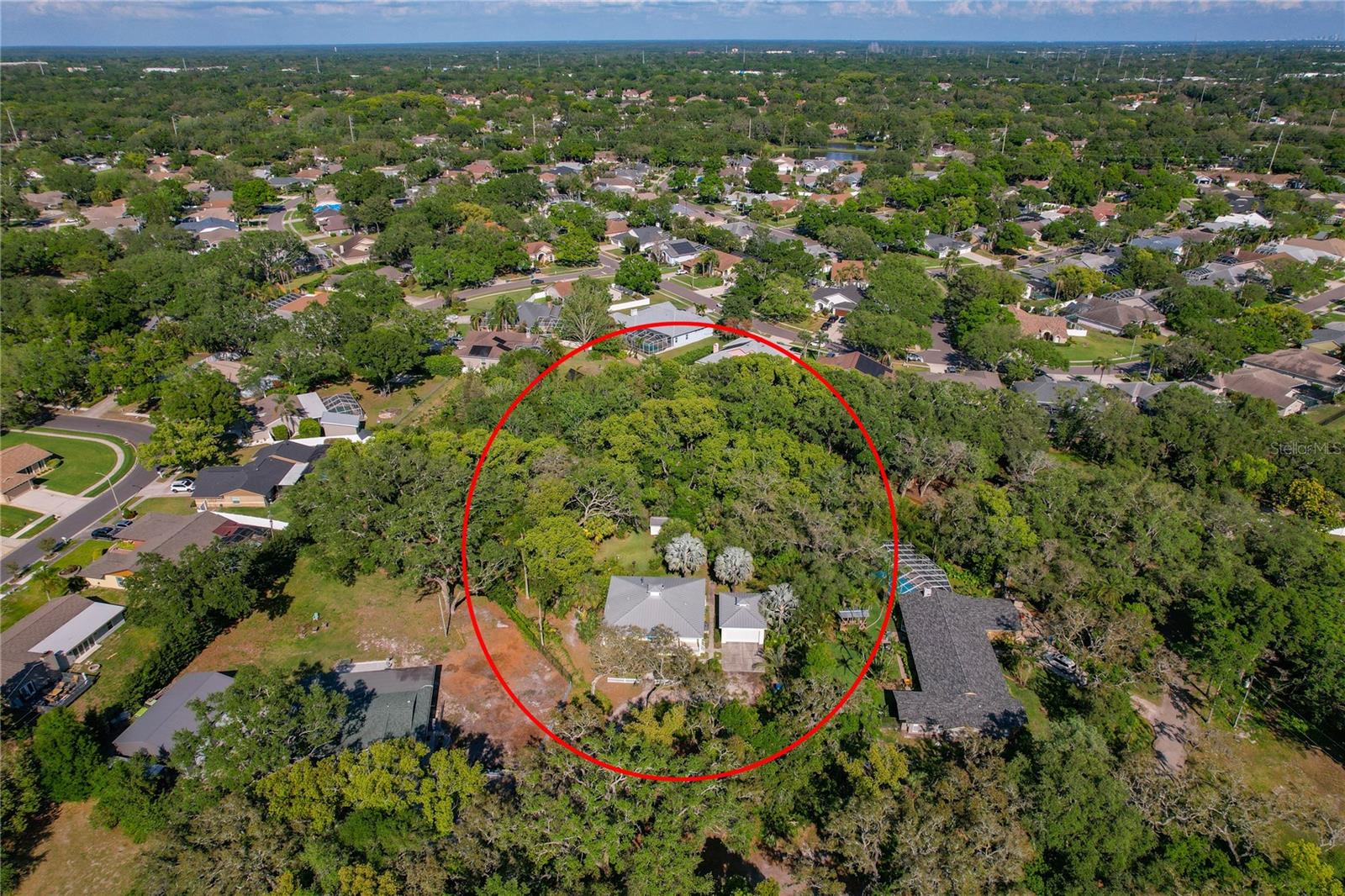 625 STILES LN, PALM HARBOR, FL, 34683