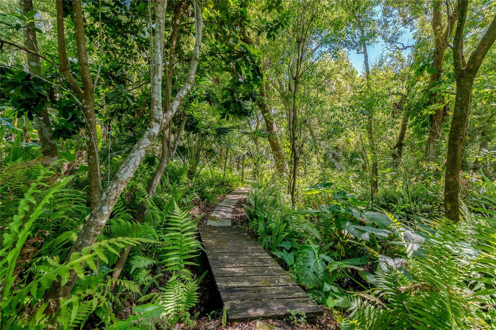 625 STILES LN, PALM HARBOR, FL, 34683