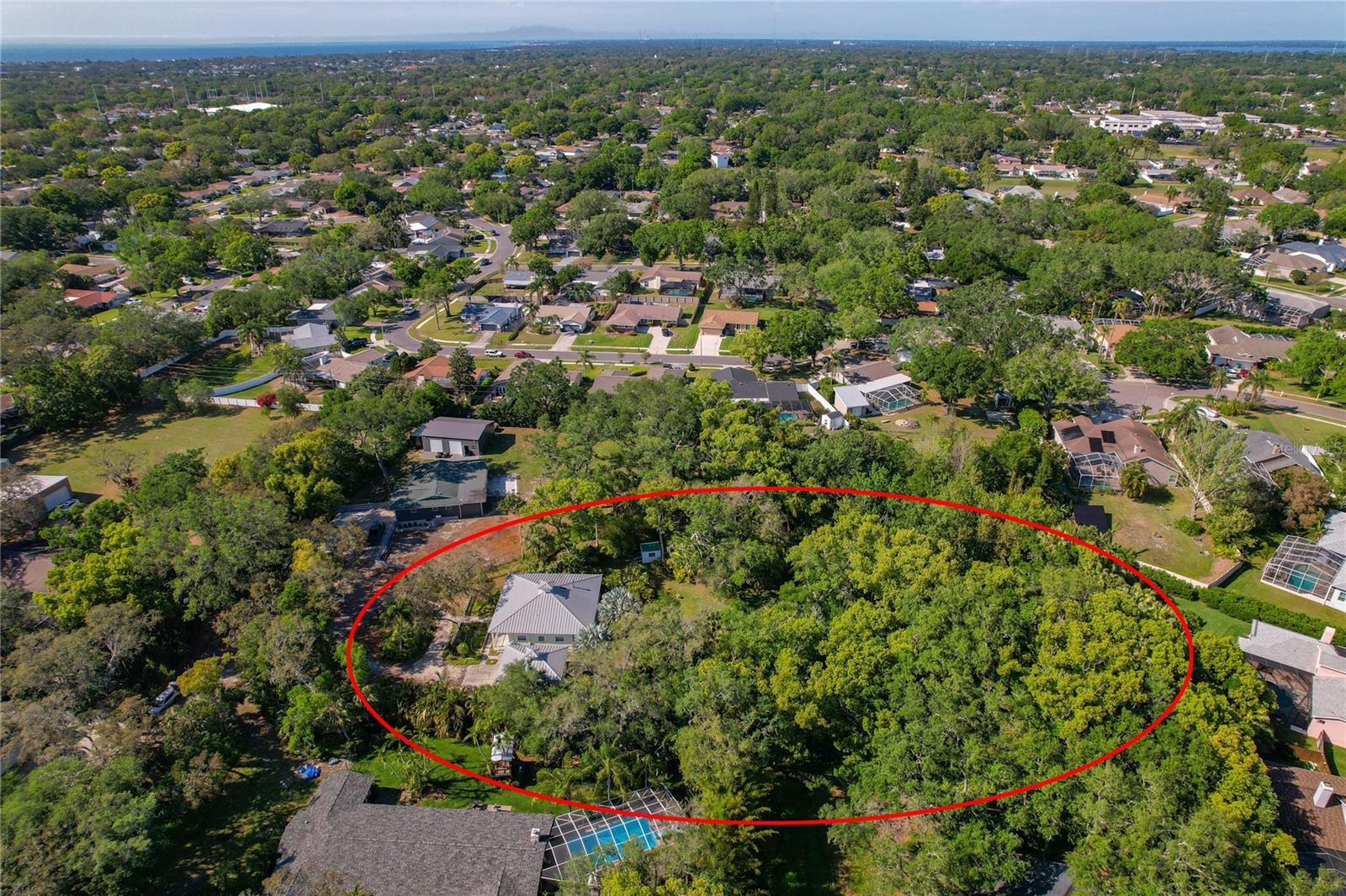 625 STILES LN, PALM HARBOR, FL, 34683