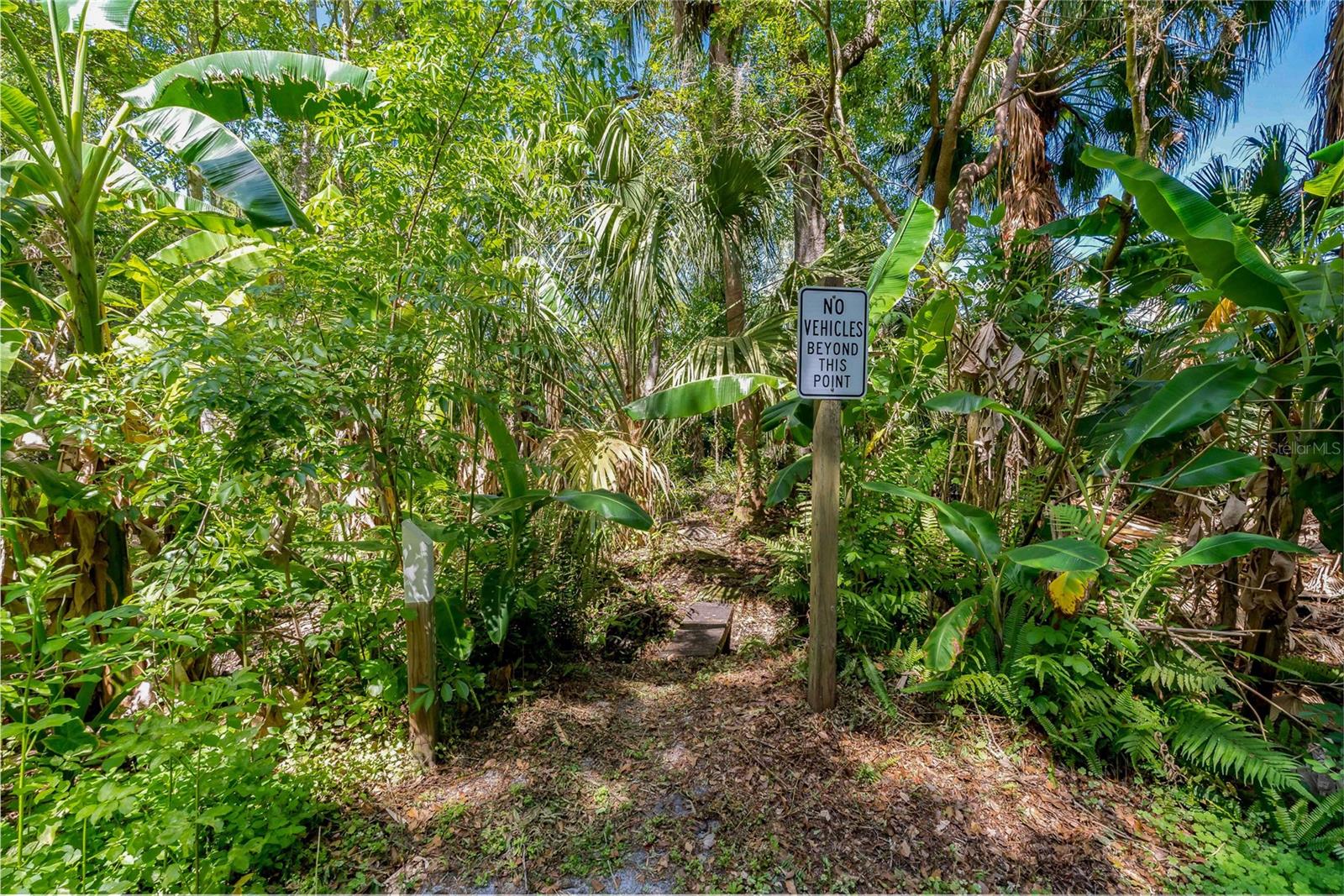 625 STILES LN, PALM HARBOR, FL, 34683