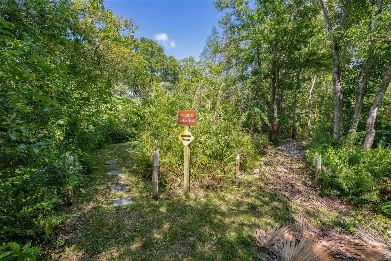 625 STILES LN, PALM HARBOR, FL, 34683