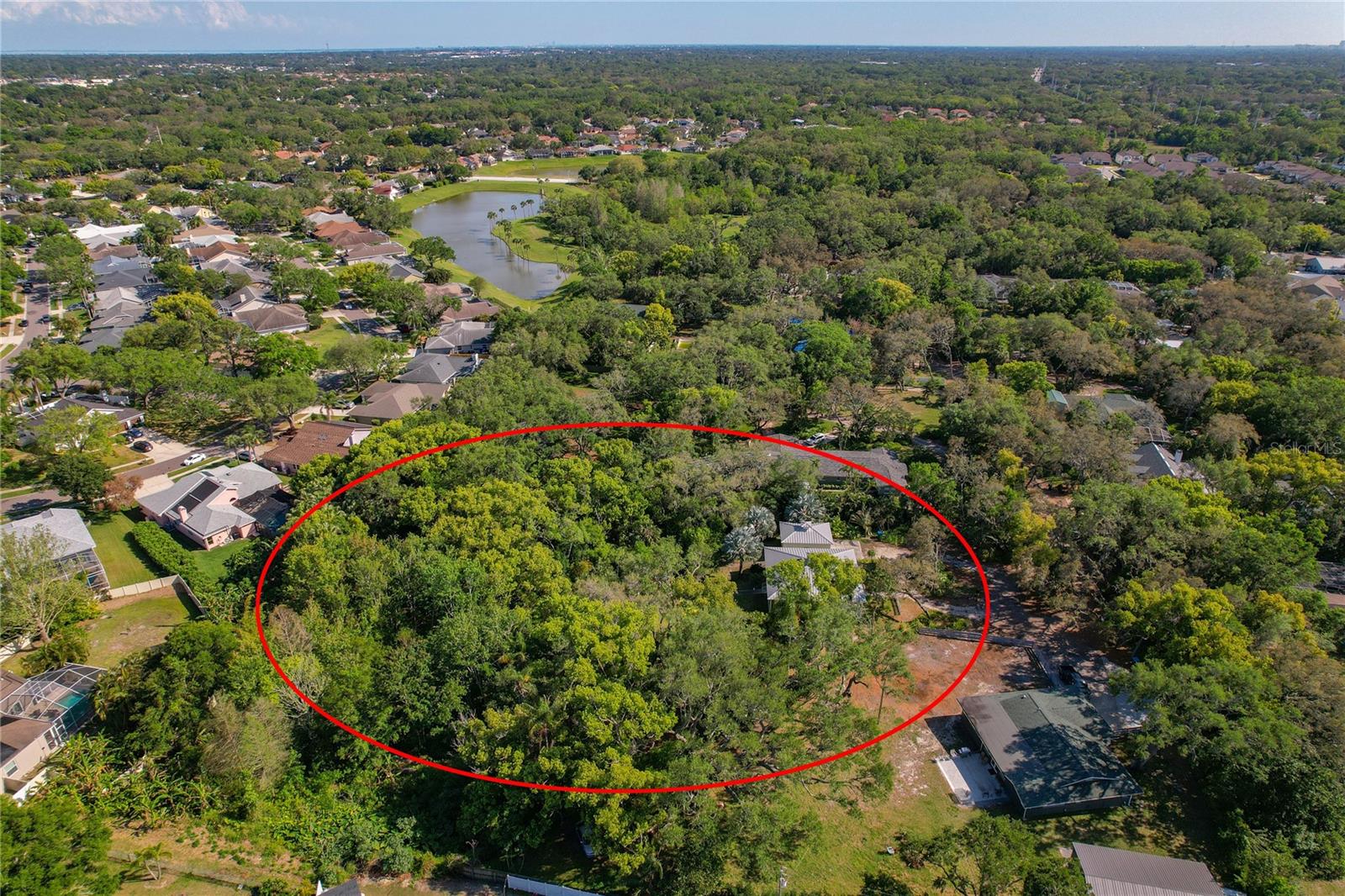 625 STILES LN, PALM HARBOR, FL, 34683