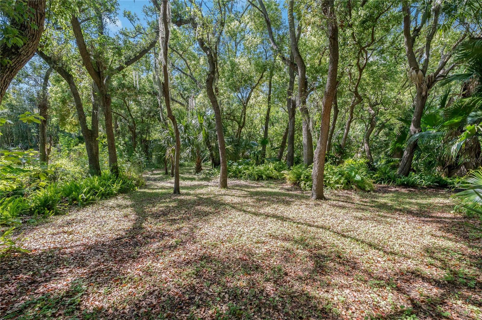 625 STILES LN, PALM HARBOR, FL, 34683