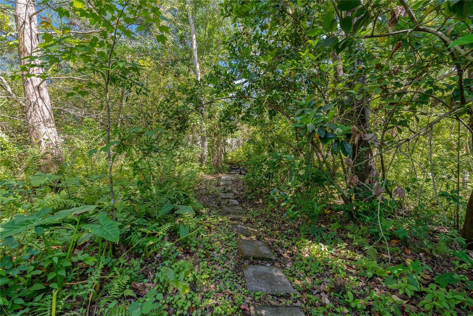 625 STILES LN, PALM HARBOR, FL, 34683