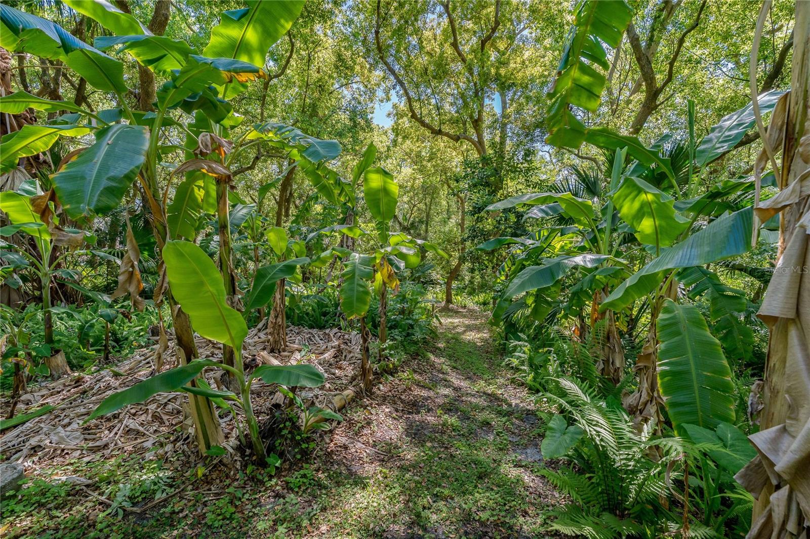 625 STILES LN, PALM HARBOR, FL, 34683