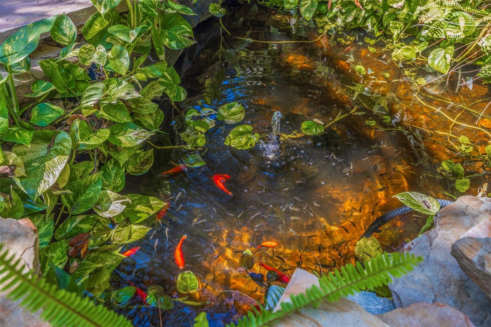 7120 3RD AVE N, ST PETERSBURG, FL, 33710