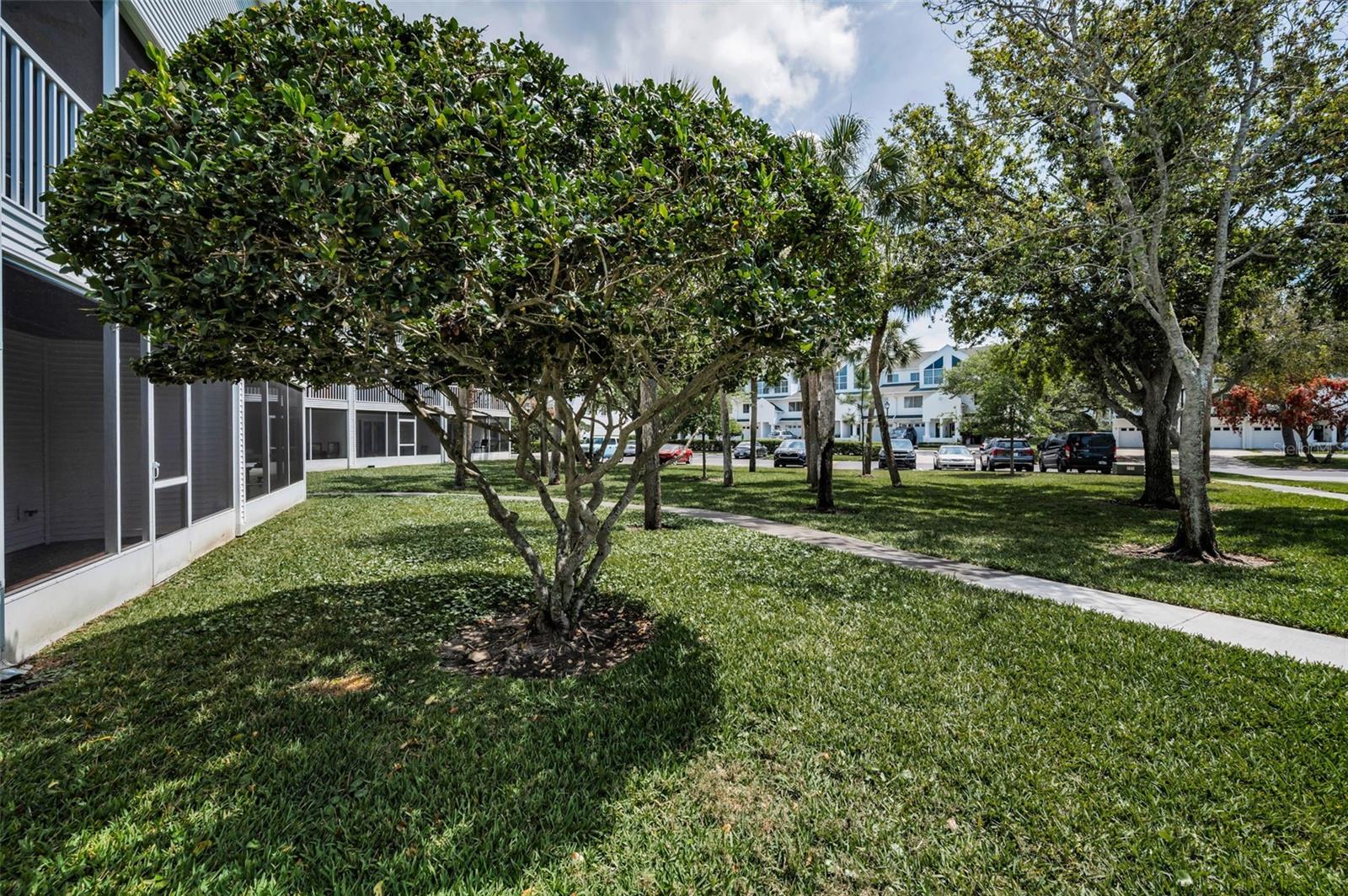 14692 SEMINOLE TRL, SEMINOLE, FL, 33776