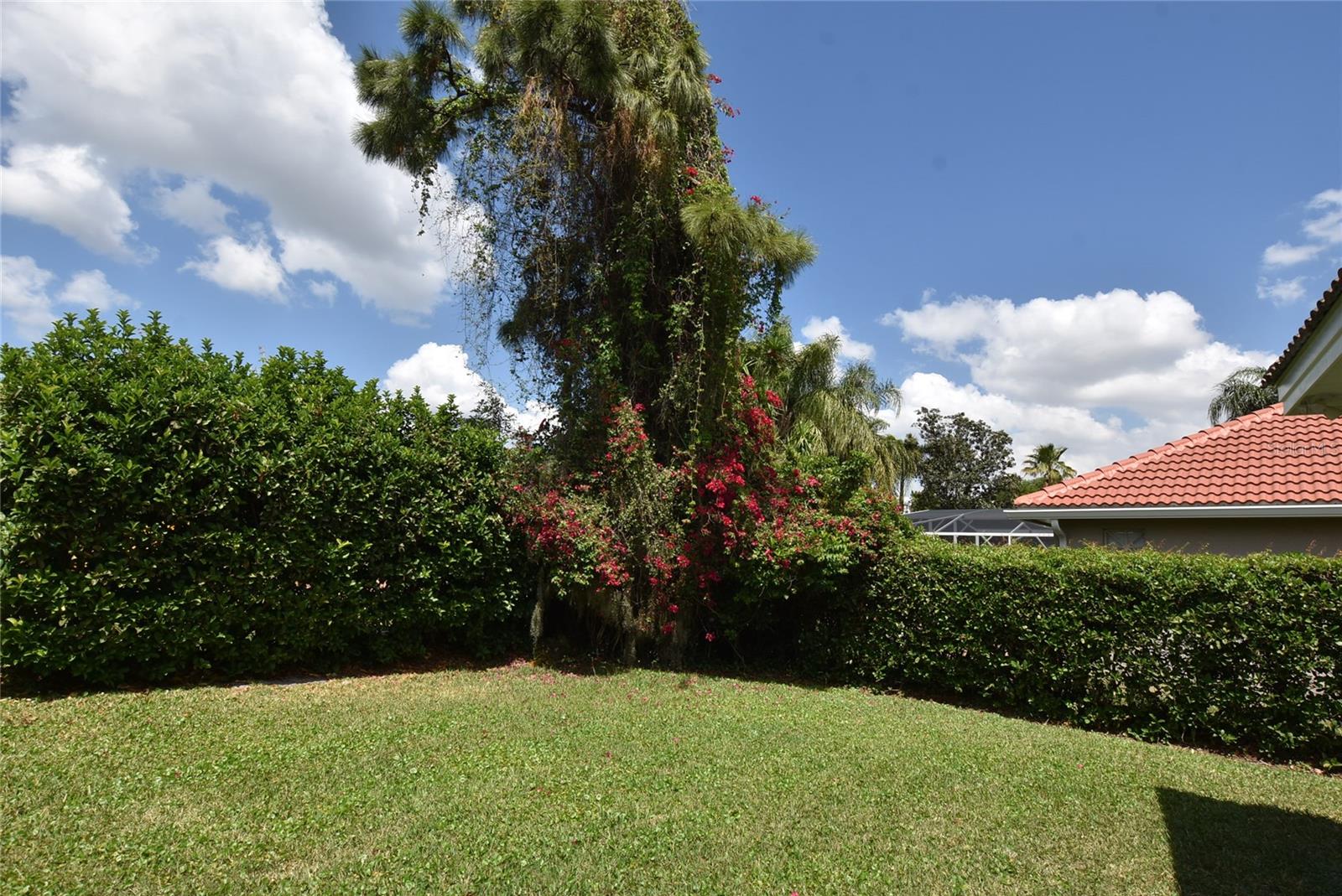 9014 DANCY TREE CT, ORLANDO, FL, 32836