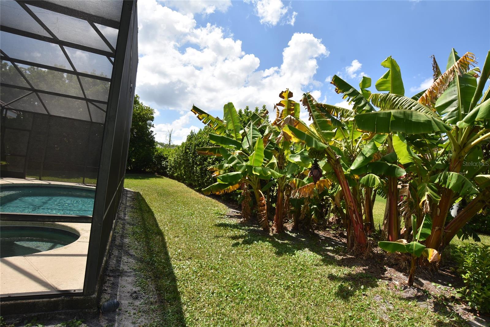 9014 DANCY TREE CT, ORLANDO, FL, 32836