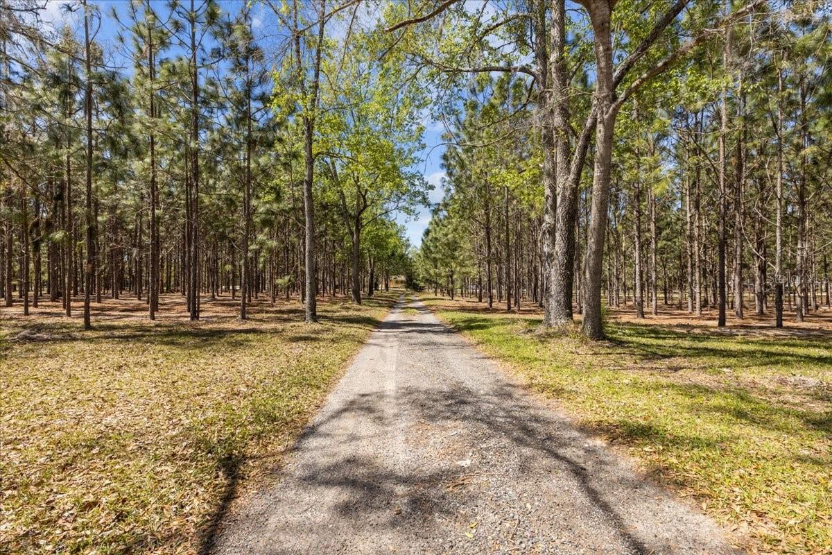 6482 SW 80TH AVE, TRENTON, FL, 32693