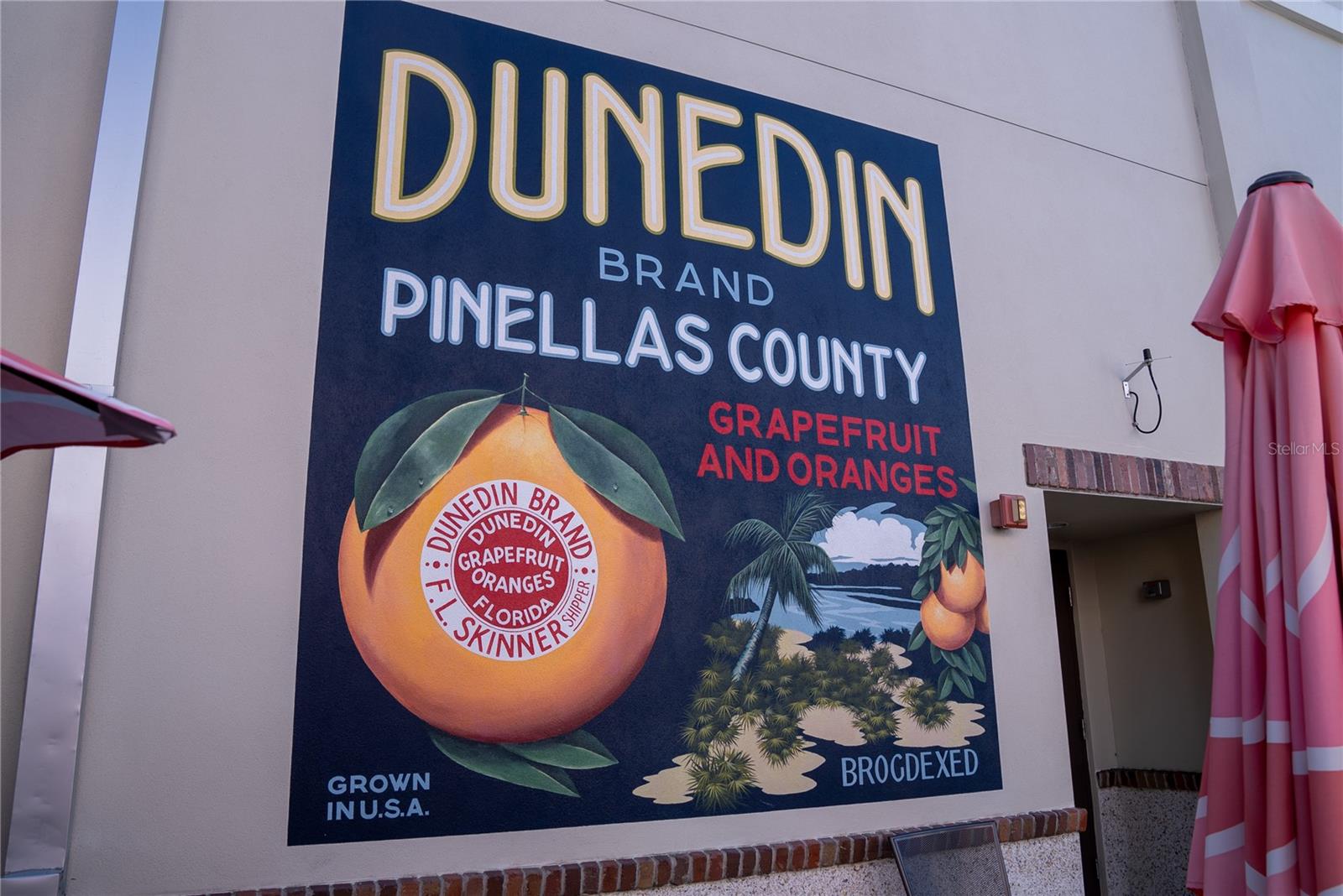 907 GULF VIEW BLVD, DUNEDIN, FL, 34698