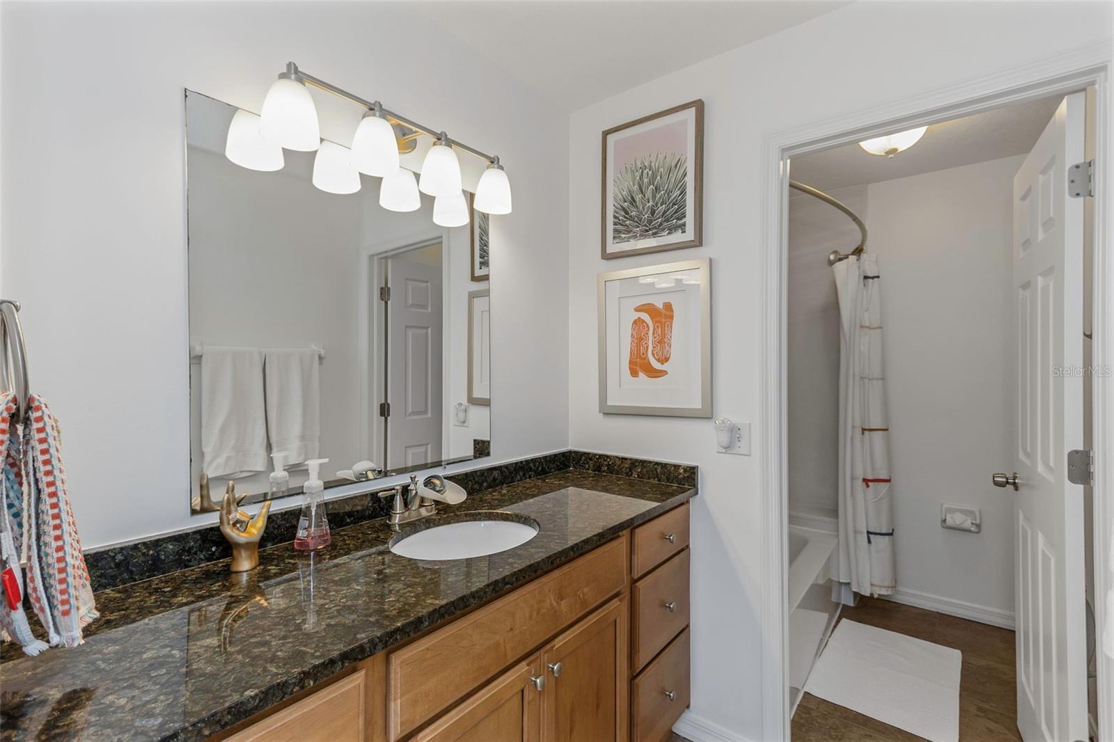 6015 S ELKINS AVE, TAMPA, FL, 33611