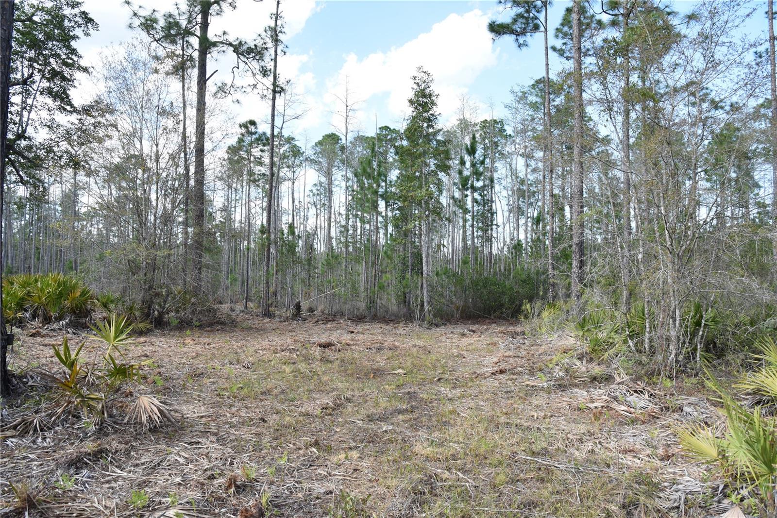 OFF SUN GARDEN RD, PALATKA, FL, 32177