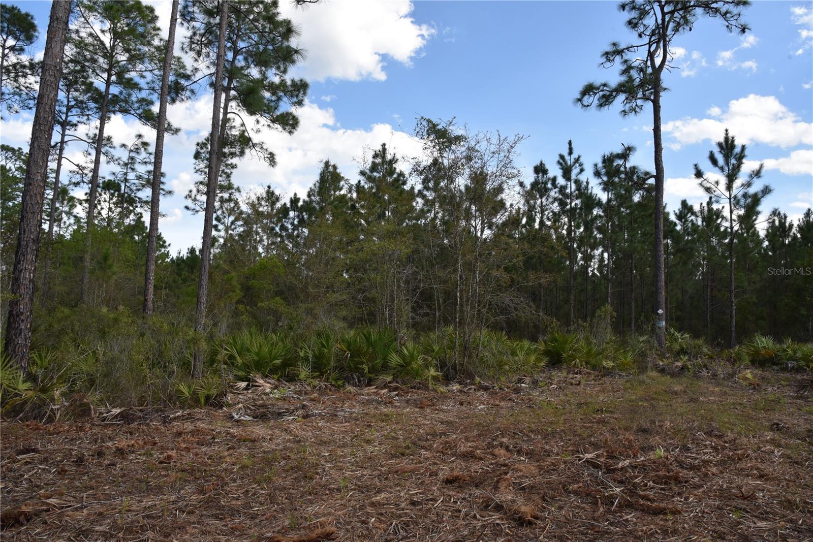 OFF SUN GARDEN RD, PALATKA, FL, 32177