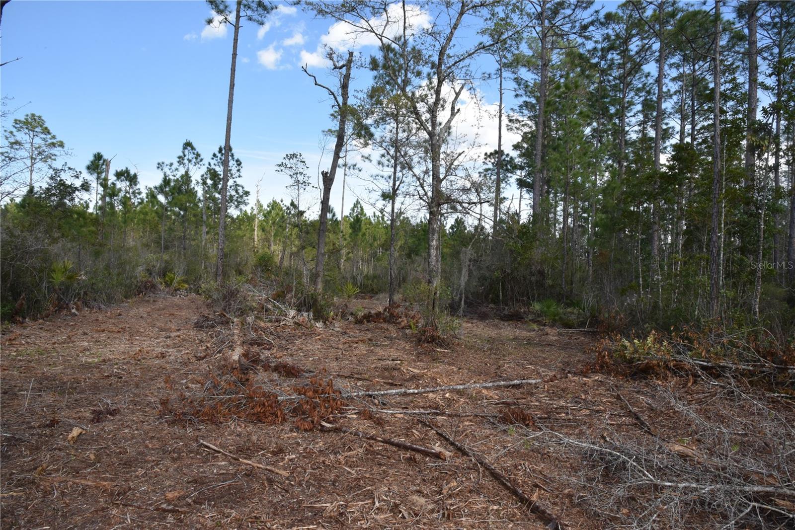 OFF SUN GARDEN RD, PALATKA, FL, 32177