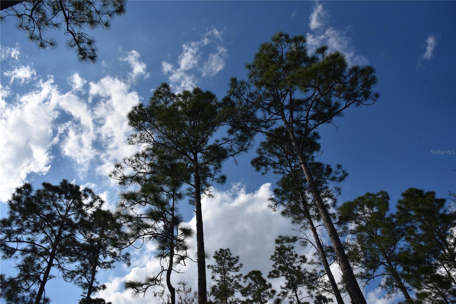 OFF SUN GARDEN RD, PALATKA, FL, 32177