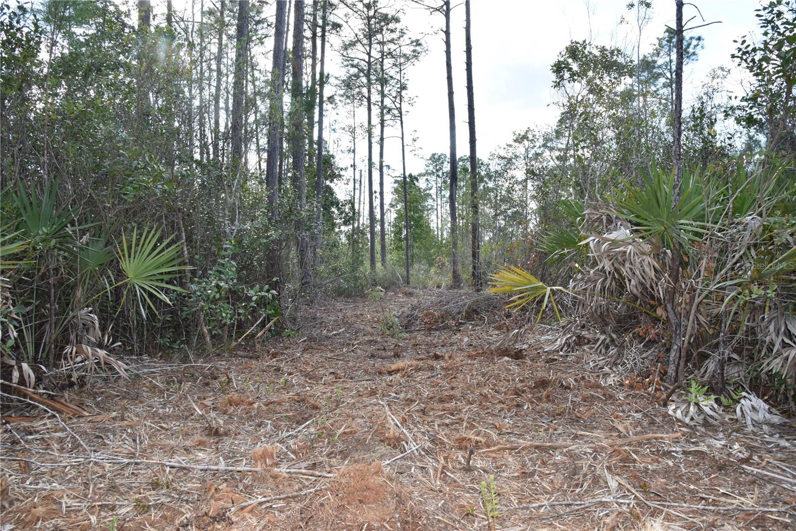 OFF SUN GARDEN RD, PALATKA, FL, 32177