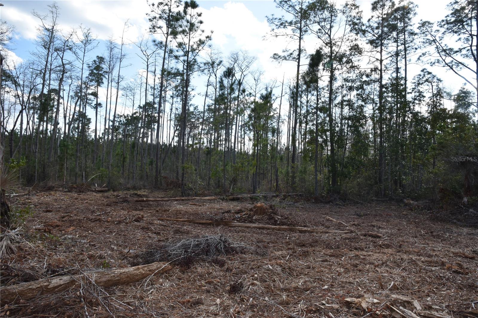 OFF SUN GARDEN RD, PALATKA, FL, 32177