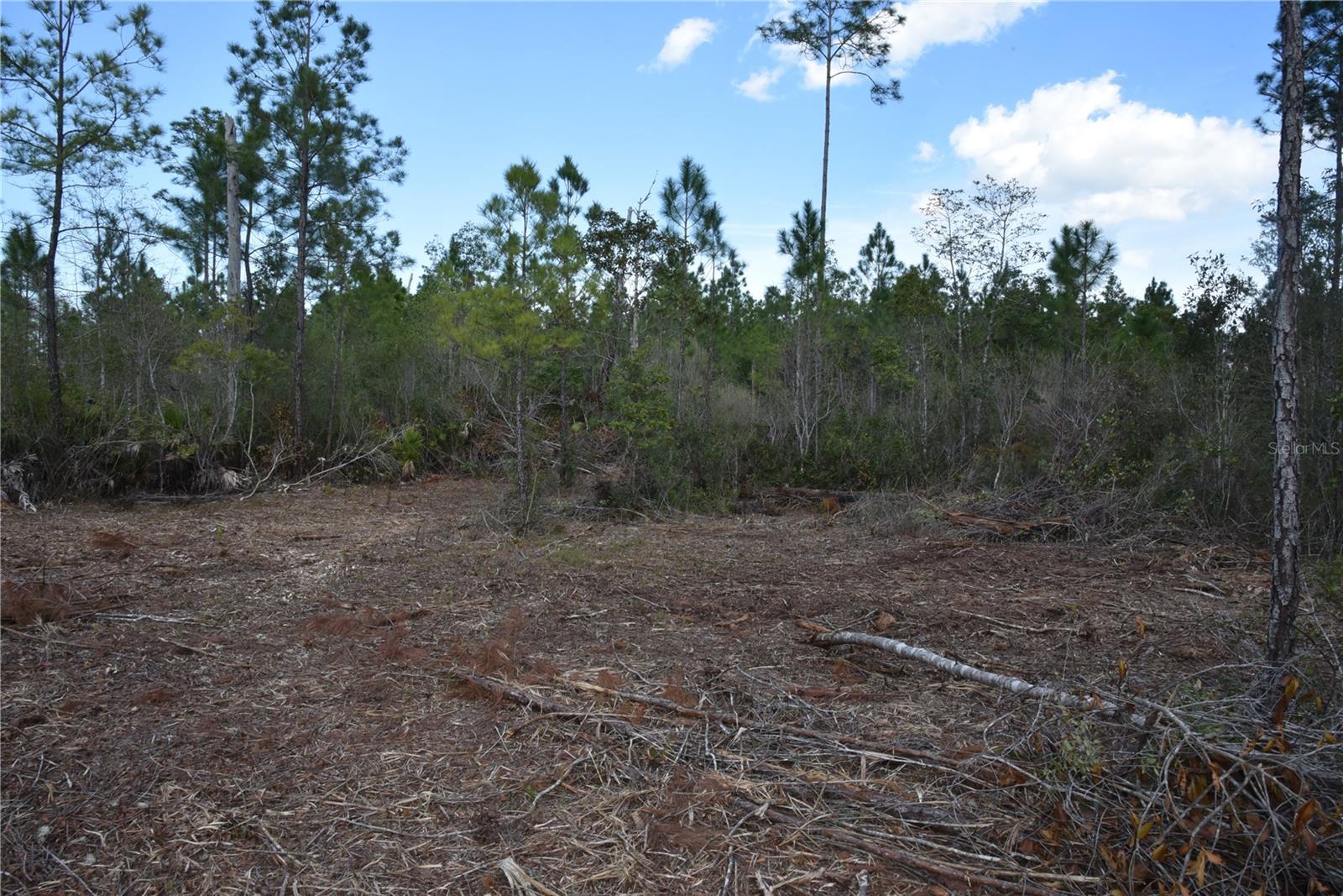 OFF SUN GARDEN RD, PALATKA, FL, 32177