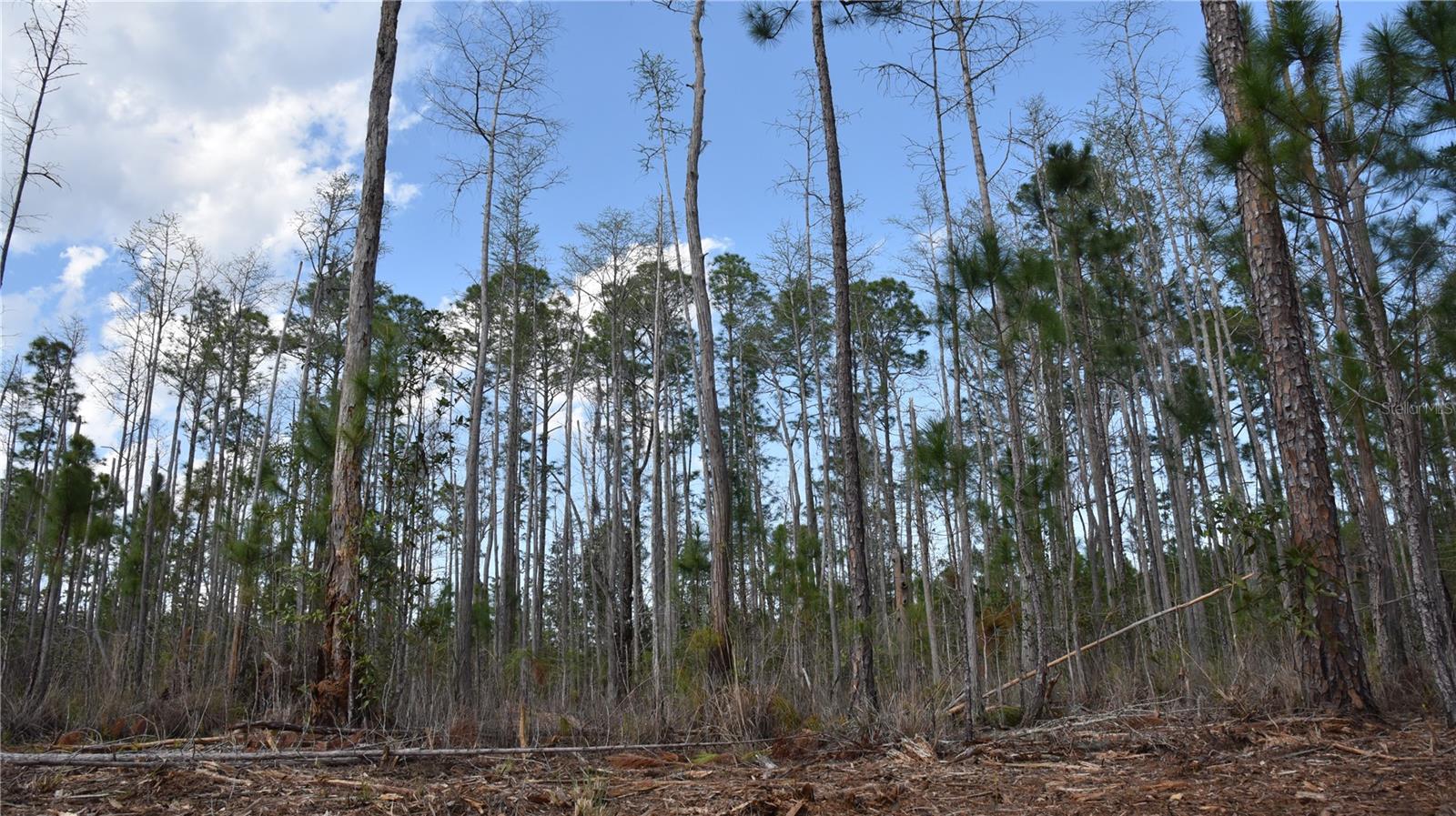 OFF SUN GARDEN RD, PALATKA, FL, 32177