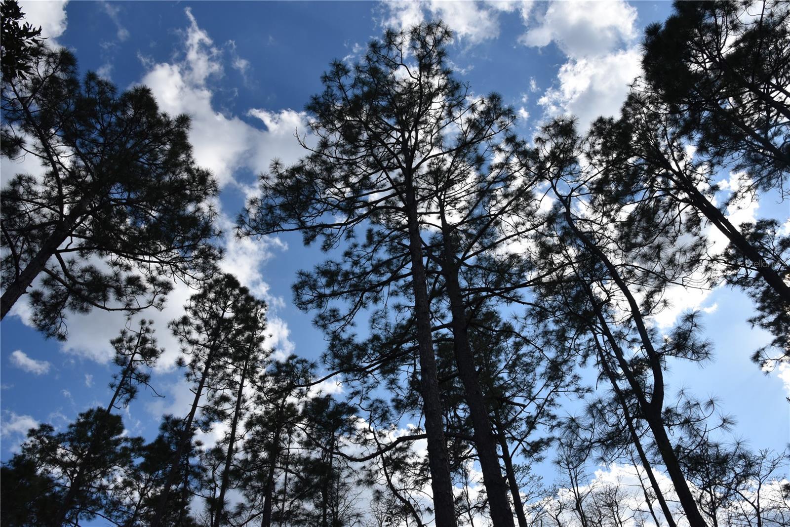 OFF SUN GARDEN RD, PALATKA, FL, 32177