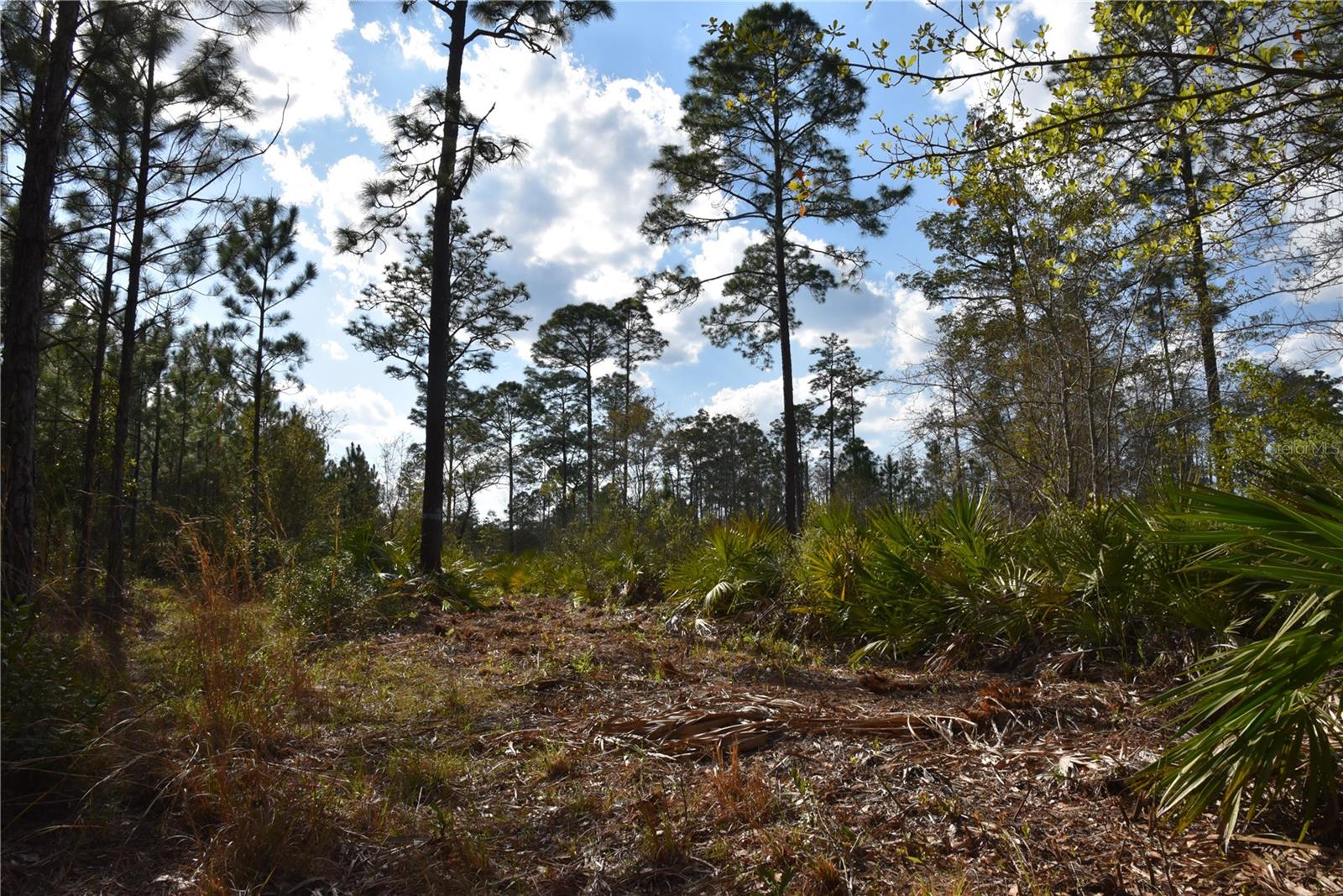 OFF SUN GARDEN RD, PALATKA, FL, 32177