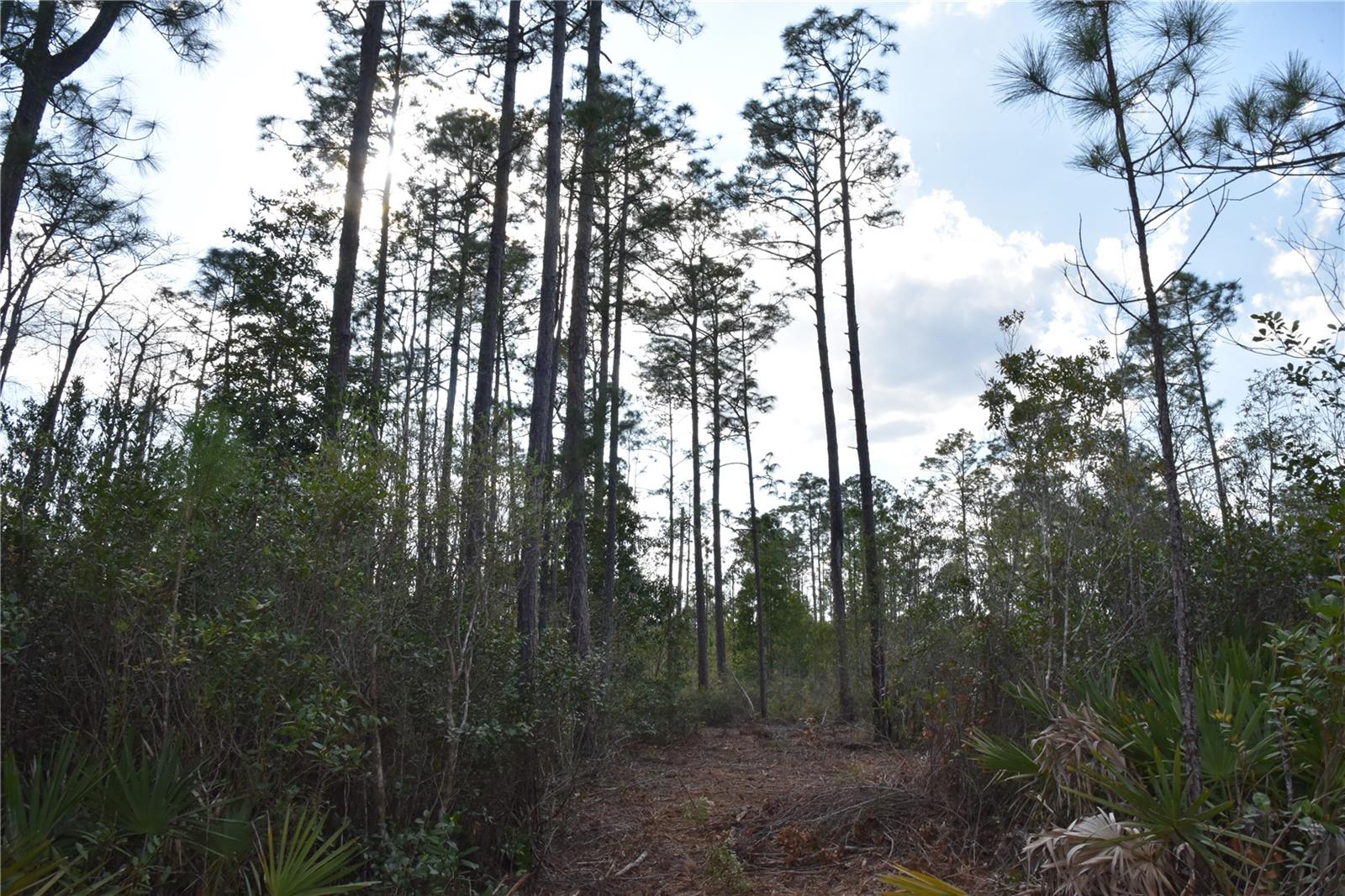 OFF SUN GARDEN RD, PALATKA, FL, 32177