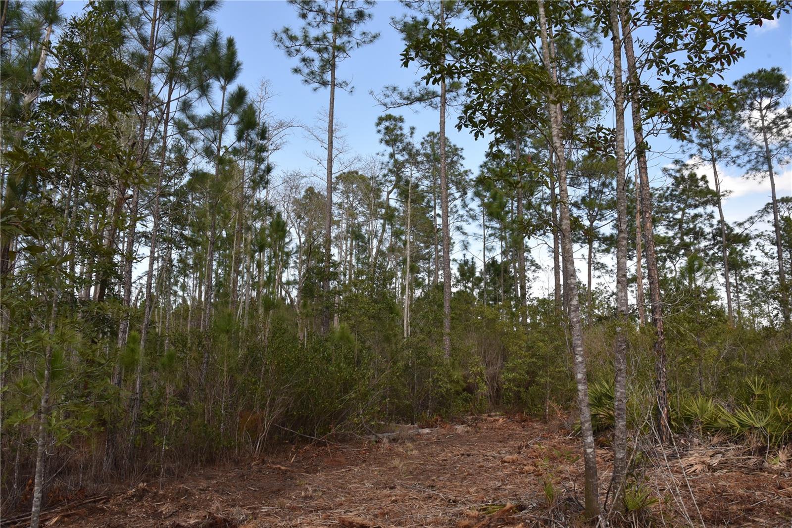 OFF SUN GARDEN RD, PALATKA, FL, 32177