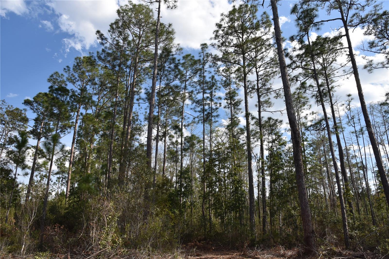 OFF SUN GARDEN RD, PALATKA, FL, 32177