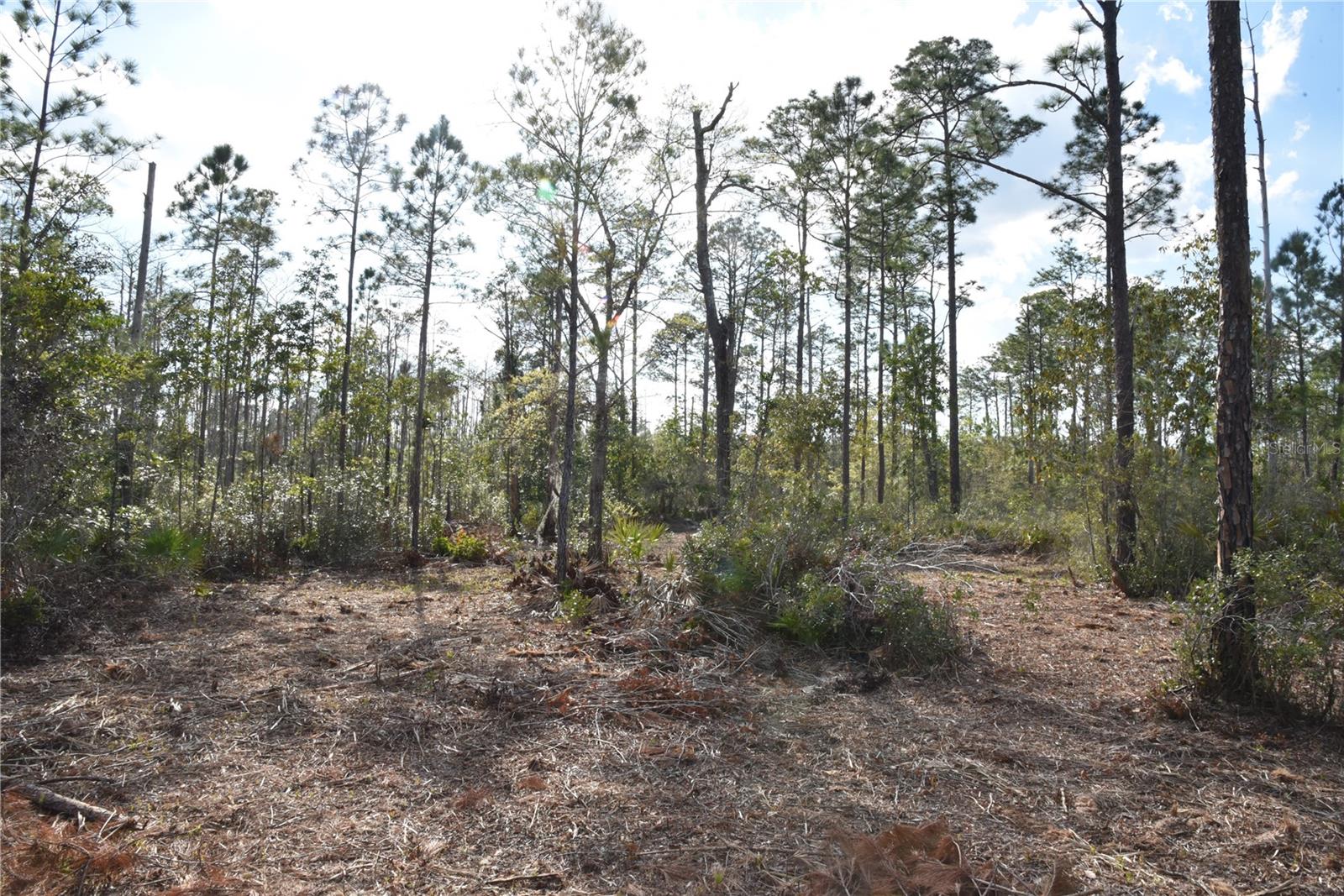 OFF SUN GARDEN RD, PALATKA, FL, 32177