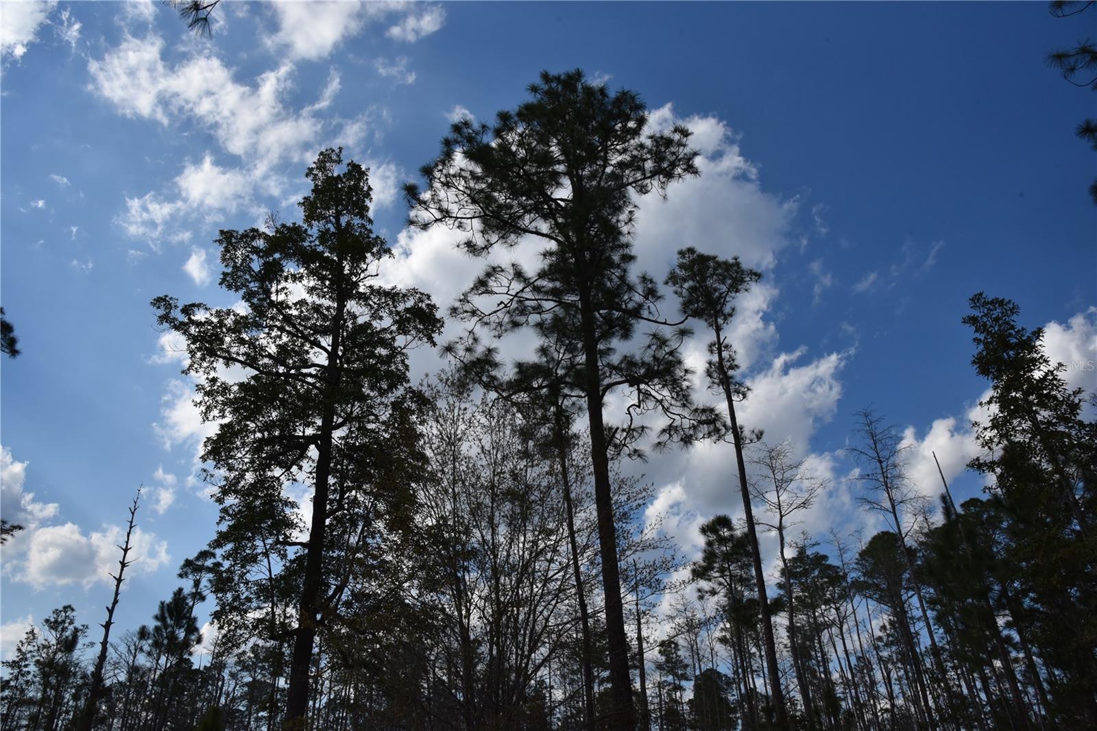 OFF SUN GARDEN RD, PALATKA, FL, 32177