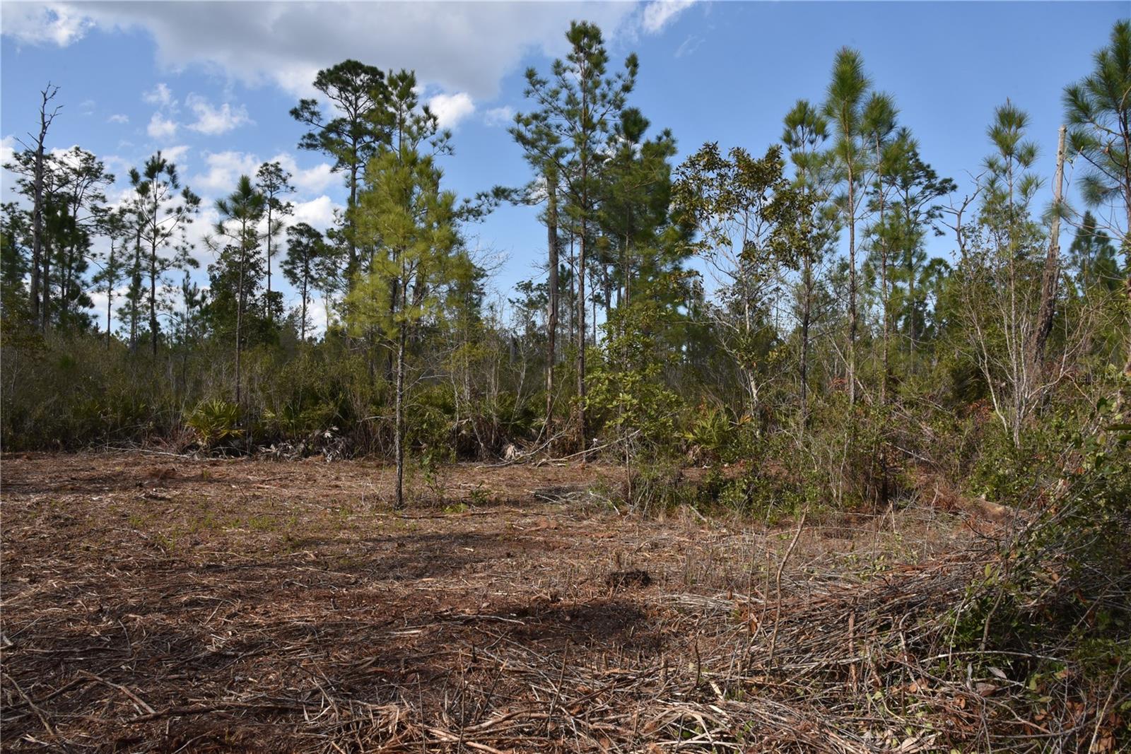 OFF SUN GARDEN RD, PALATKA, FL, 32177