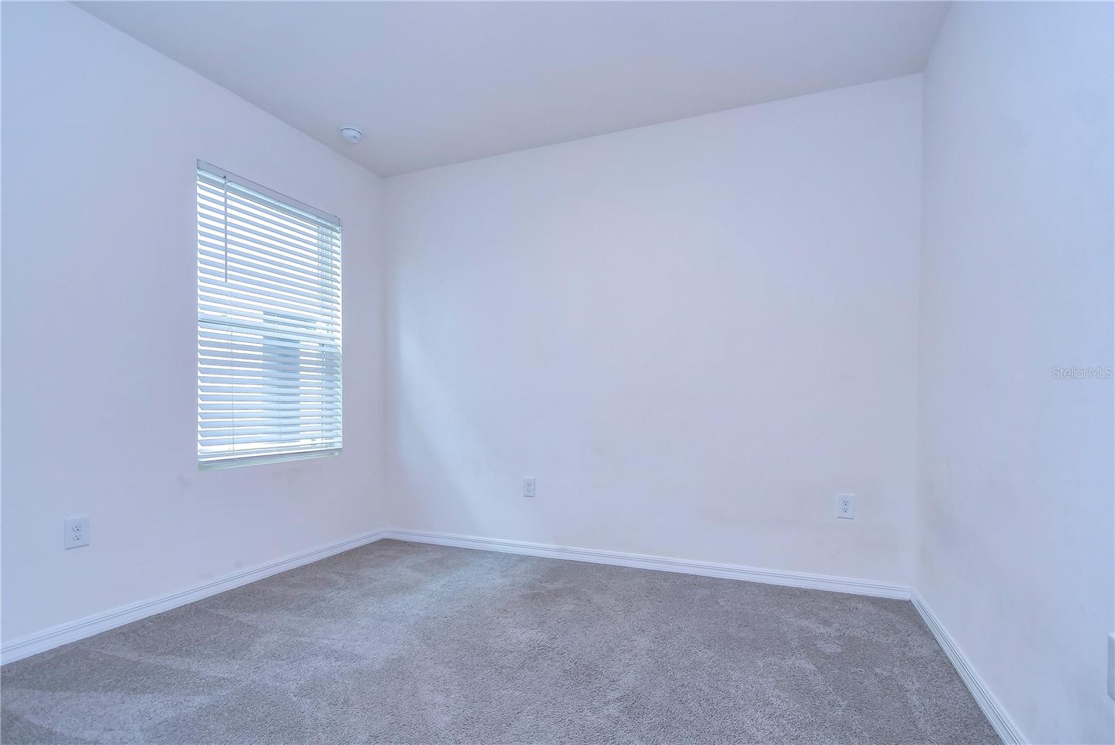 5460 WARRINGTON TOWN PATH, WESLEY CHAPEL, FL, 33545