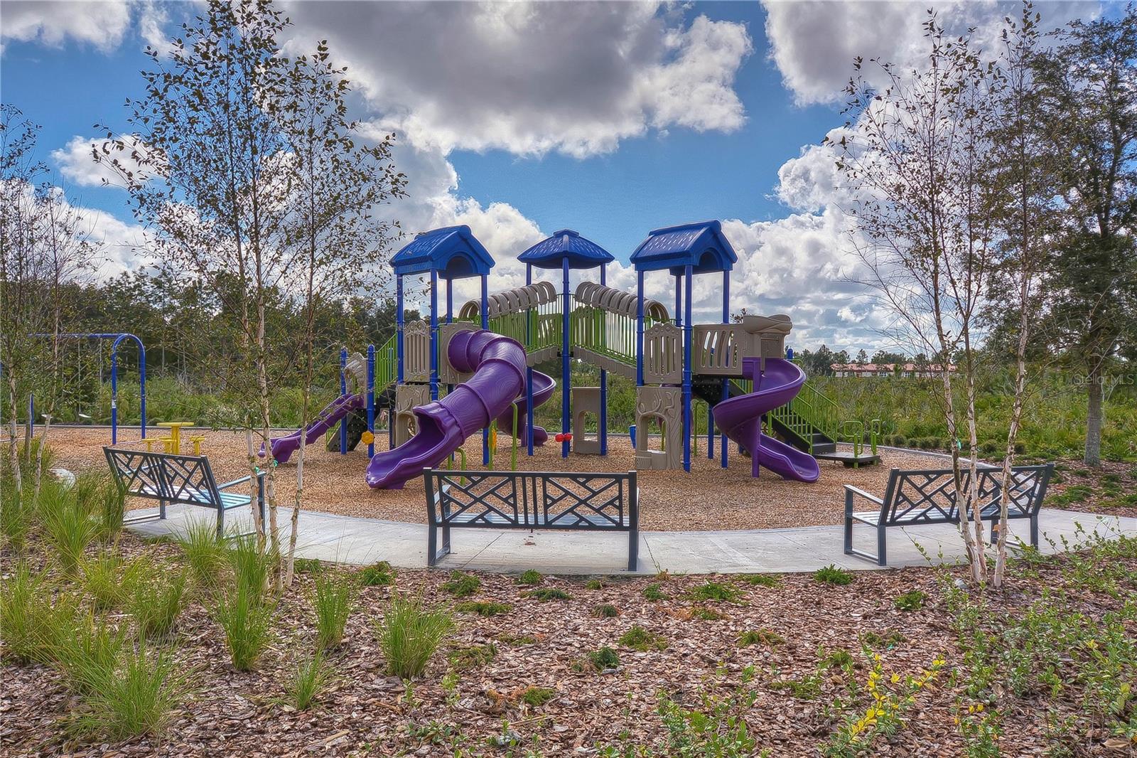 5460 WARRINGTON TOWN PATH, WESLEY CHAPEL, FL, 33545