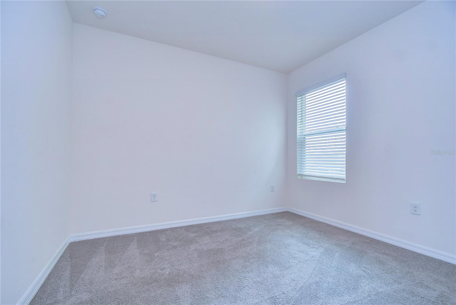 5460 WARRINGTON TOWN PATH, WESLEY CHAPEL, FL, 33545