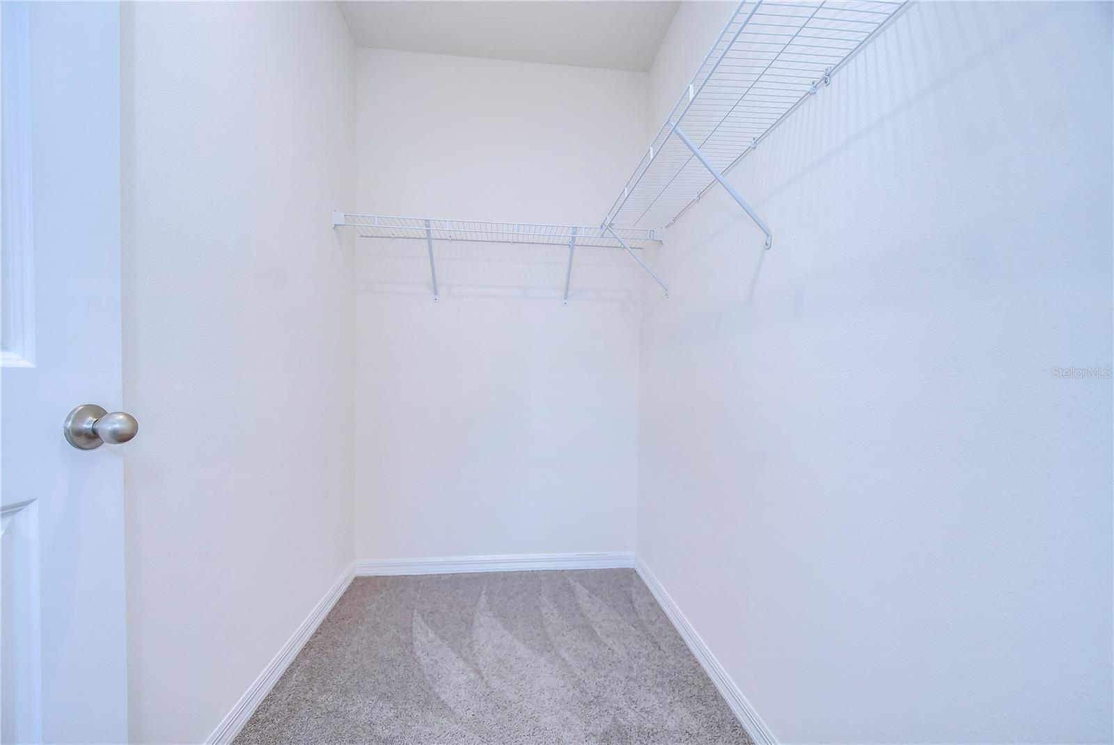 5460 WARRINGTON TOWN PATH, WESLEY CHAPEL, FL, 33545