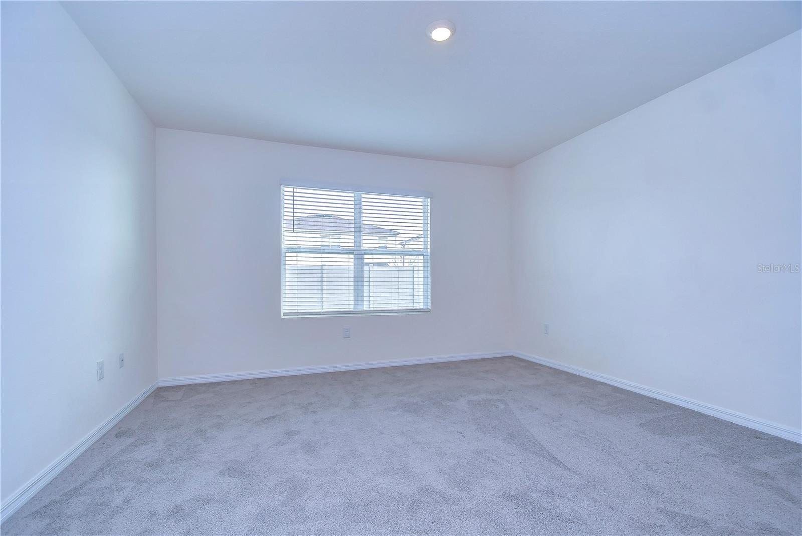 5460 WARRINGTON TOWN PATH, WESLEY CHAPEL, FL, 33545