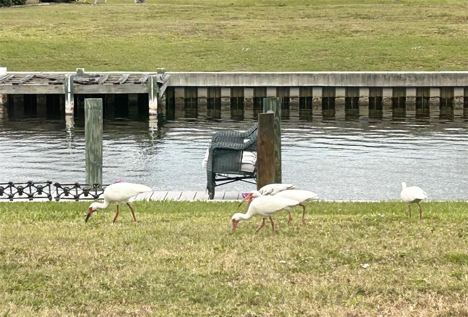 123 POINSETTIA CIR NE, PORT CHARLOTTE, FL, 33952