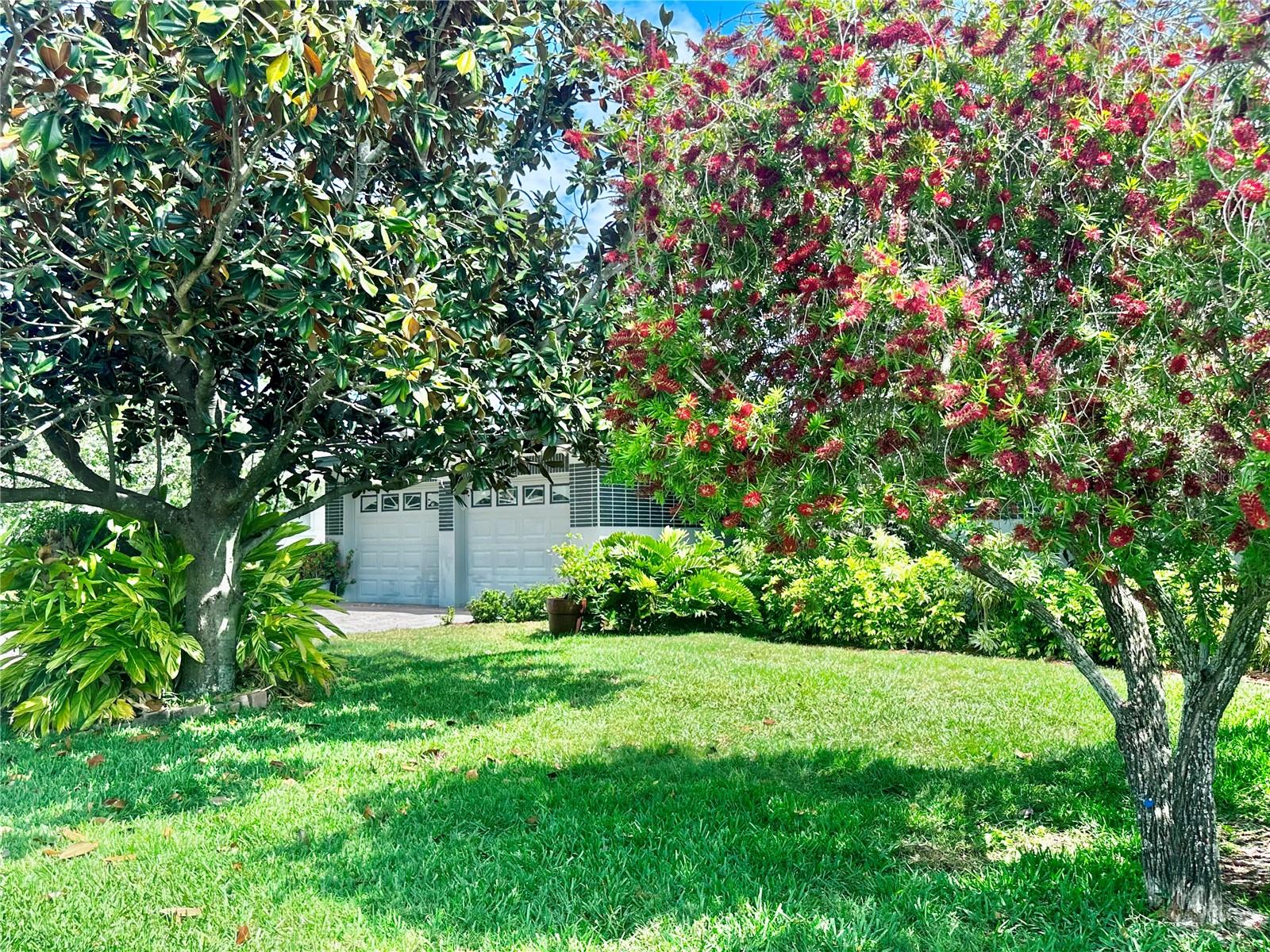1345 S EVERGREEN AVE, CLEARWATER, FL, 33756