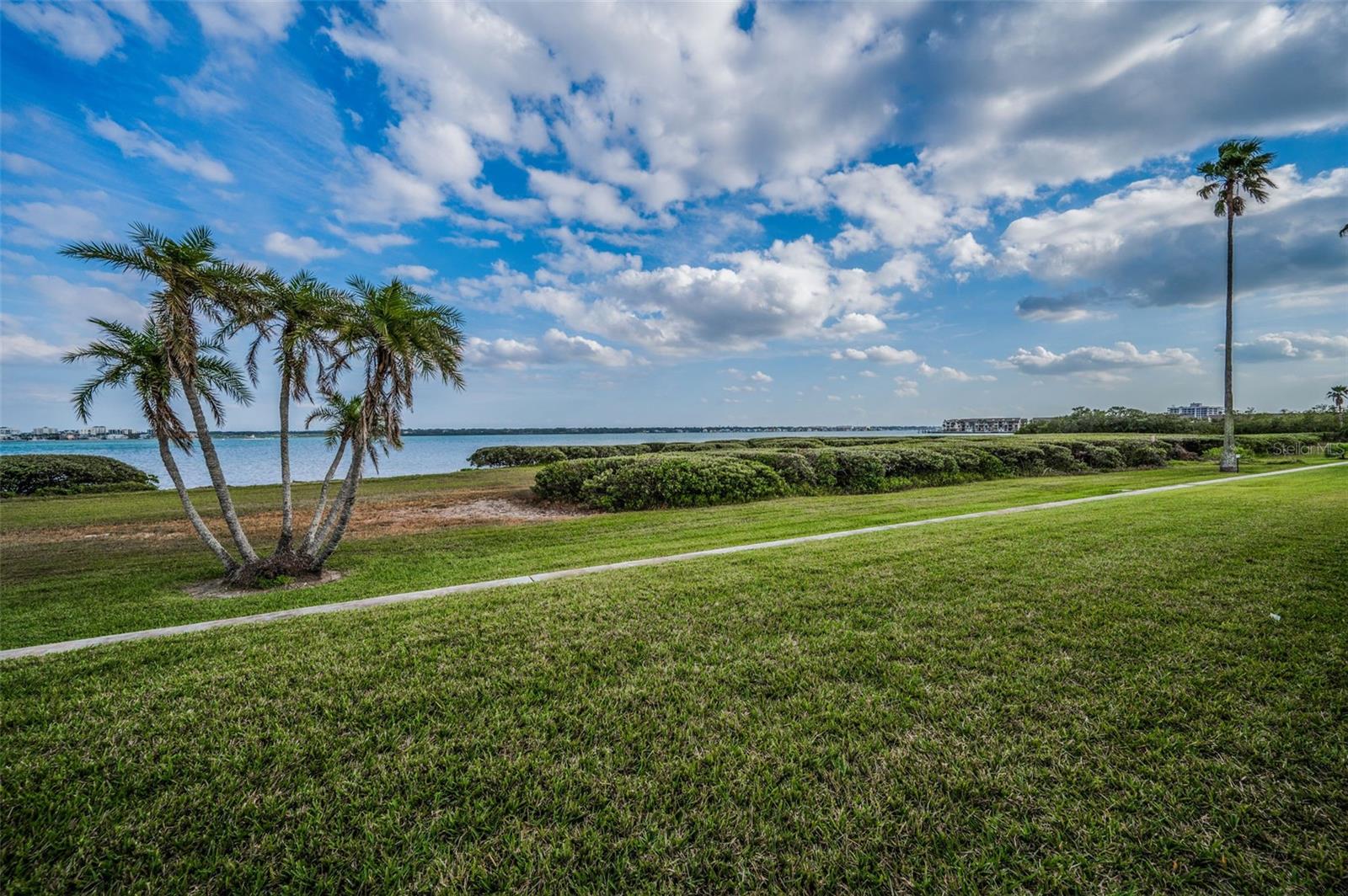 1451 GULF BLVD #207, CLEARWATER BEACH, FL, 33767