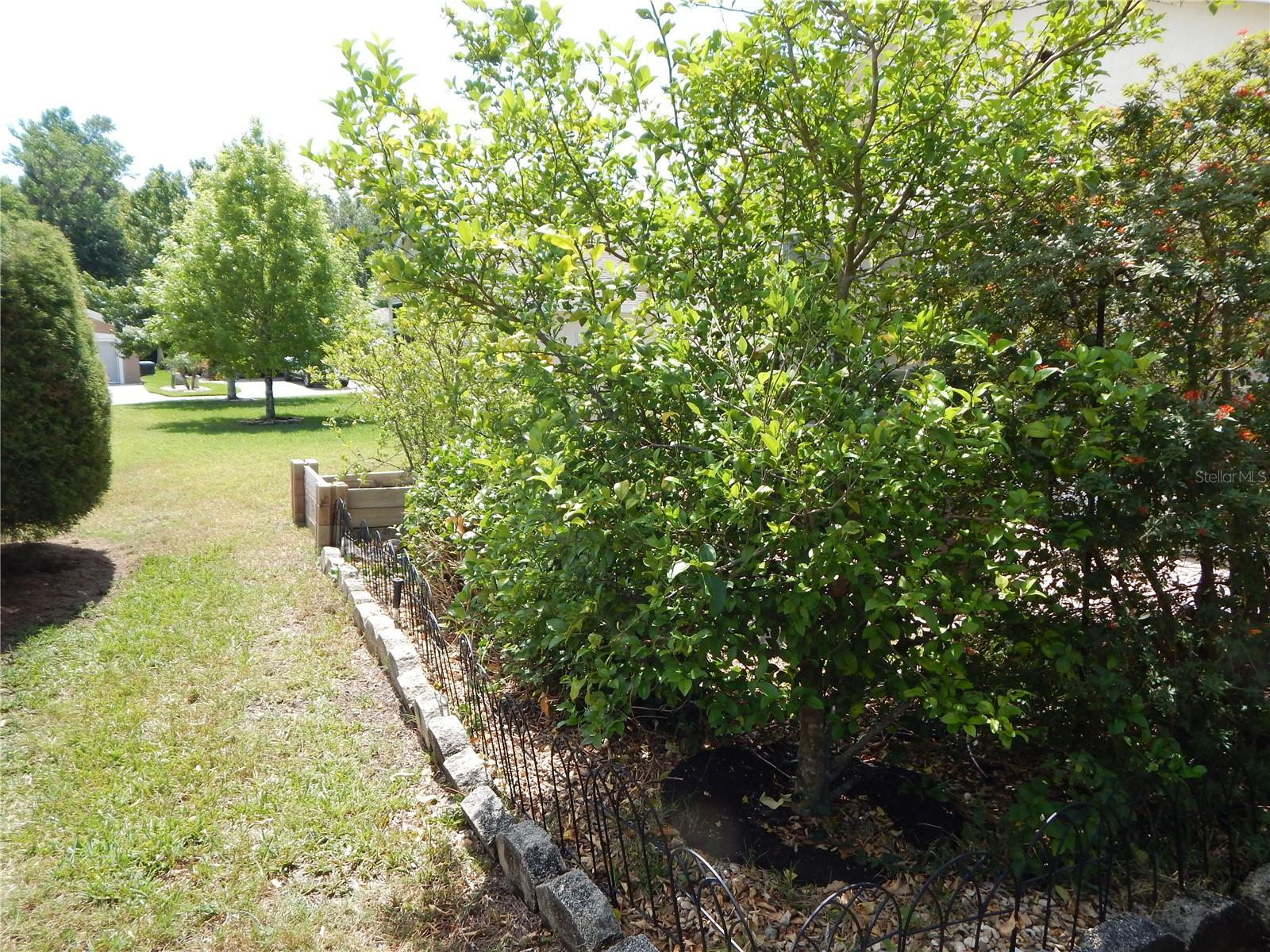 236 RIDGE VIEW DR, DAVENPORT, FL, 33837