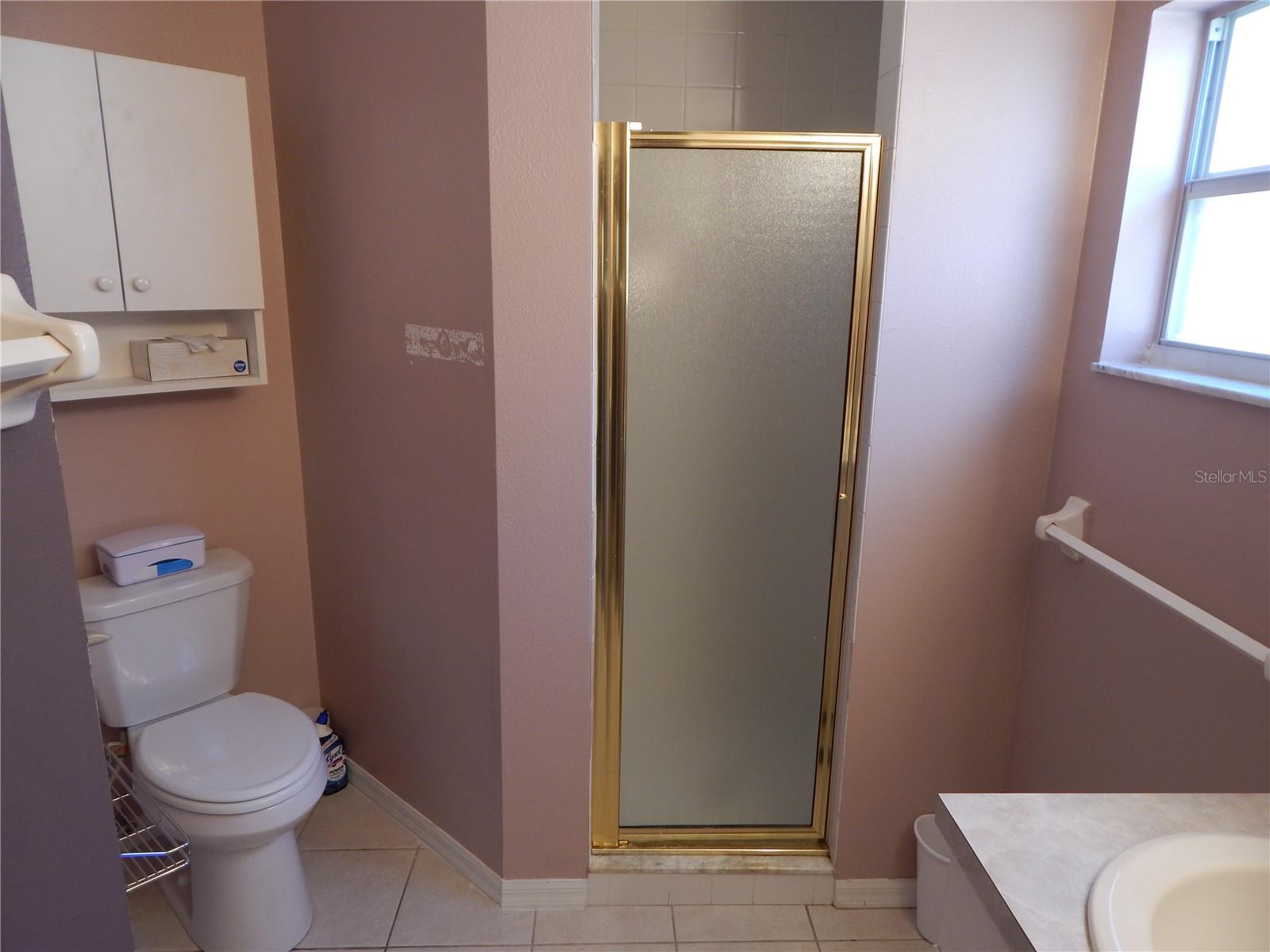 236 RIDGE VIEW DR, DAVENPORT, FL, 33837