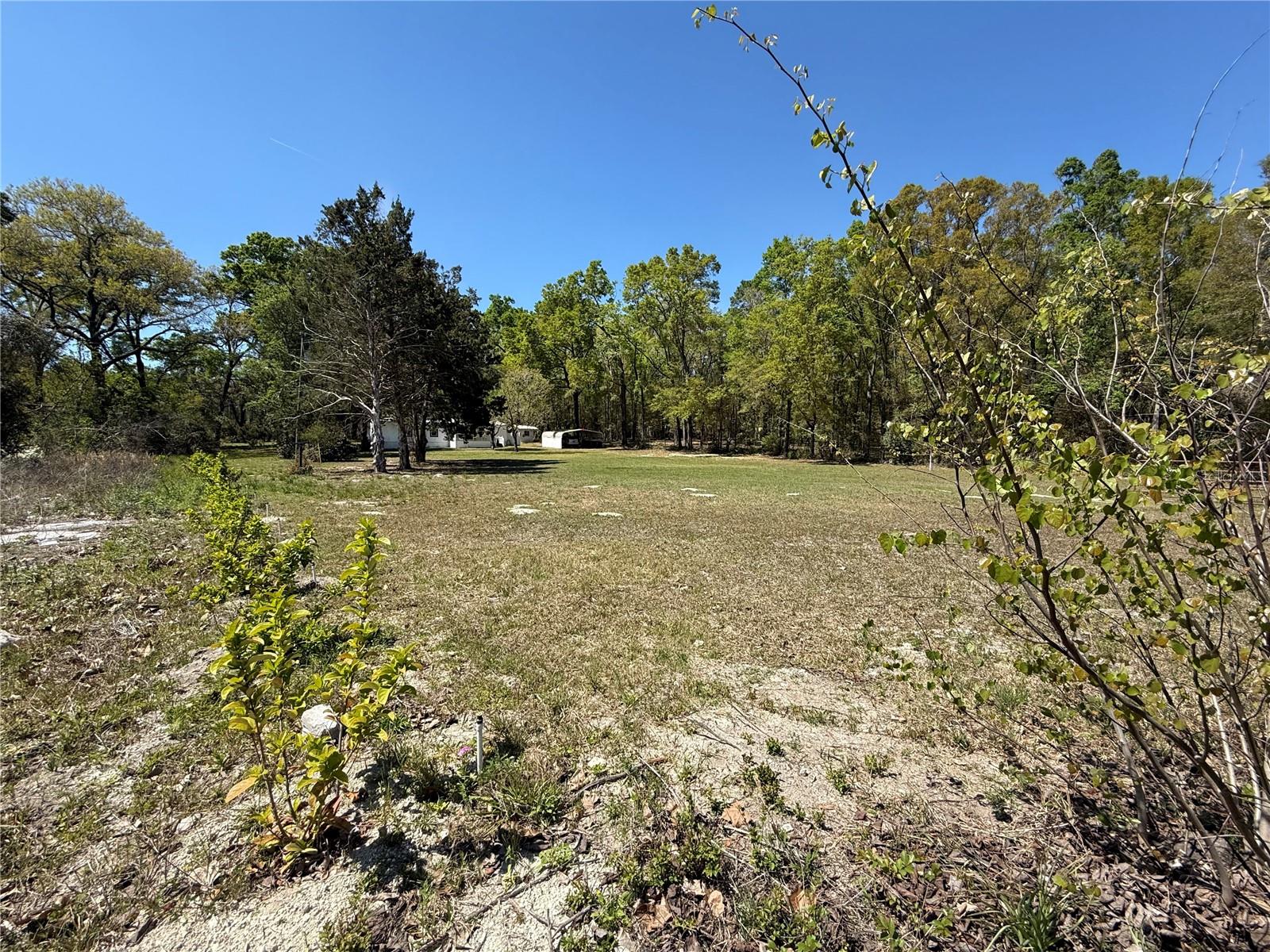 20490 S US 441 HWY, HIGH SPRINGS, FL, 32643
