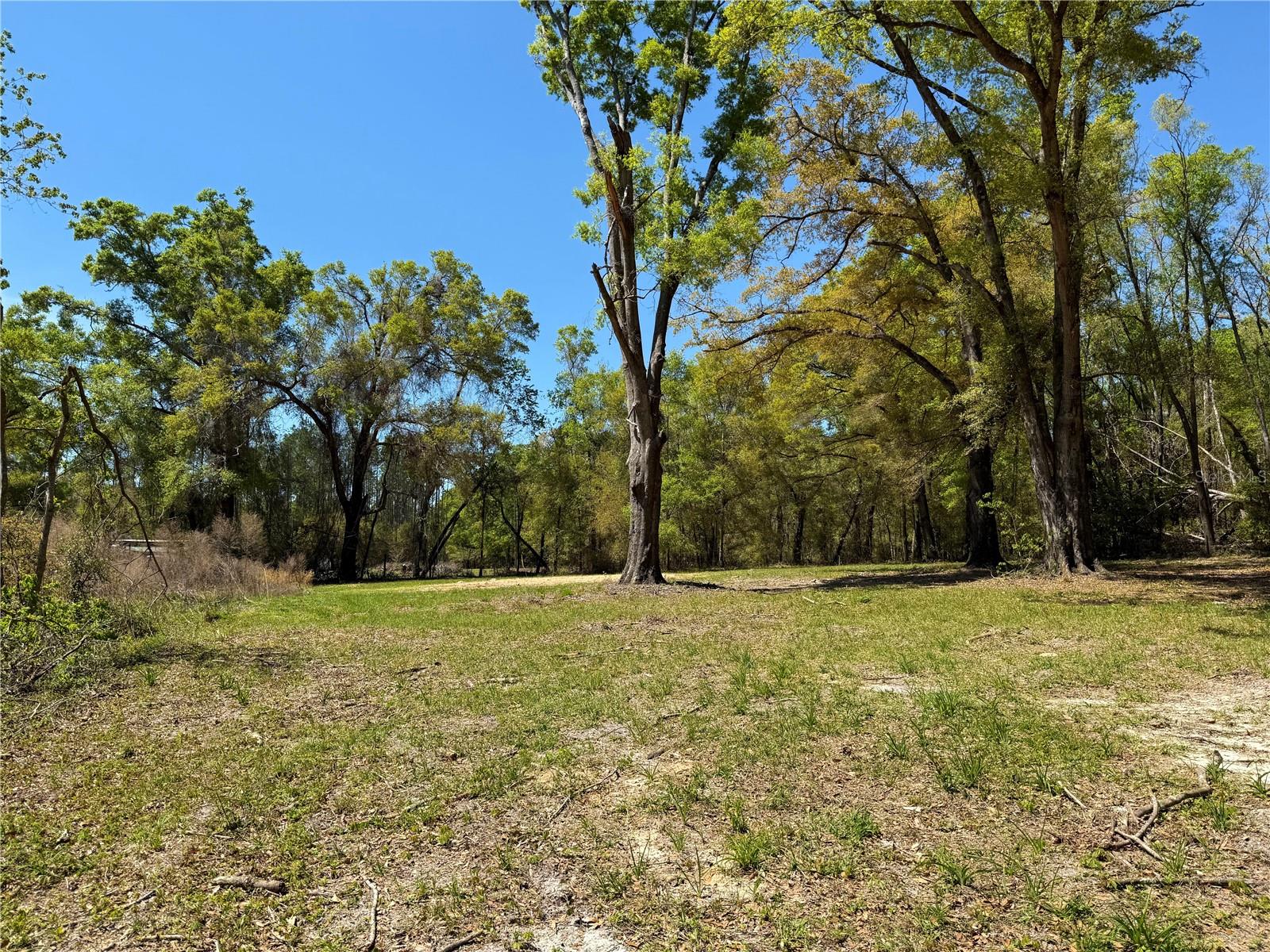 20490 S US 441 HWY, HIGH SPRINGS, FL, 32643