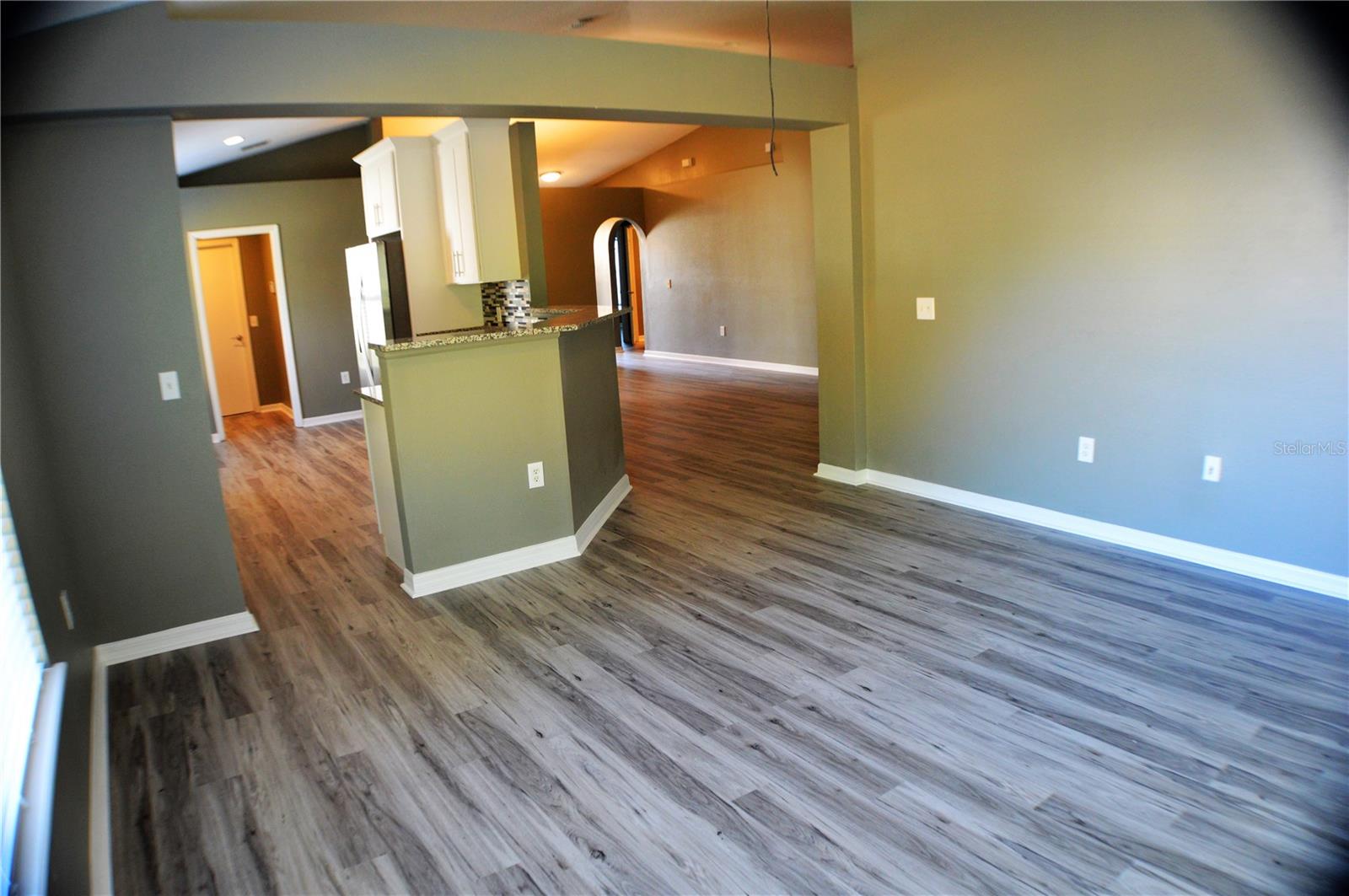 1017 TAWNY EAGLE DR, GROVELAND, FL, 34736