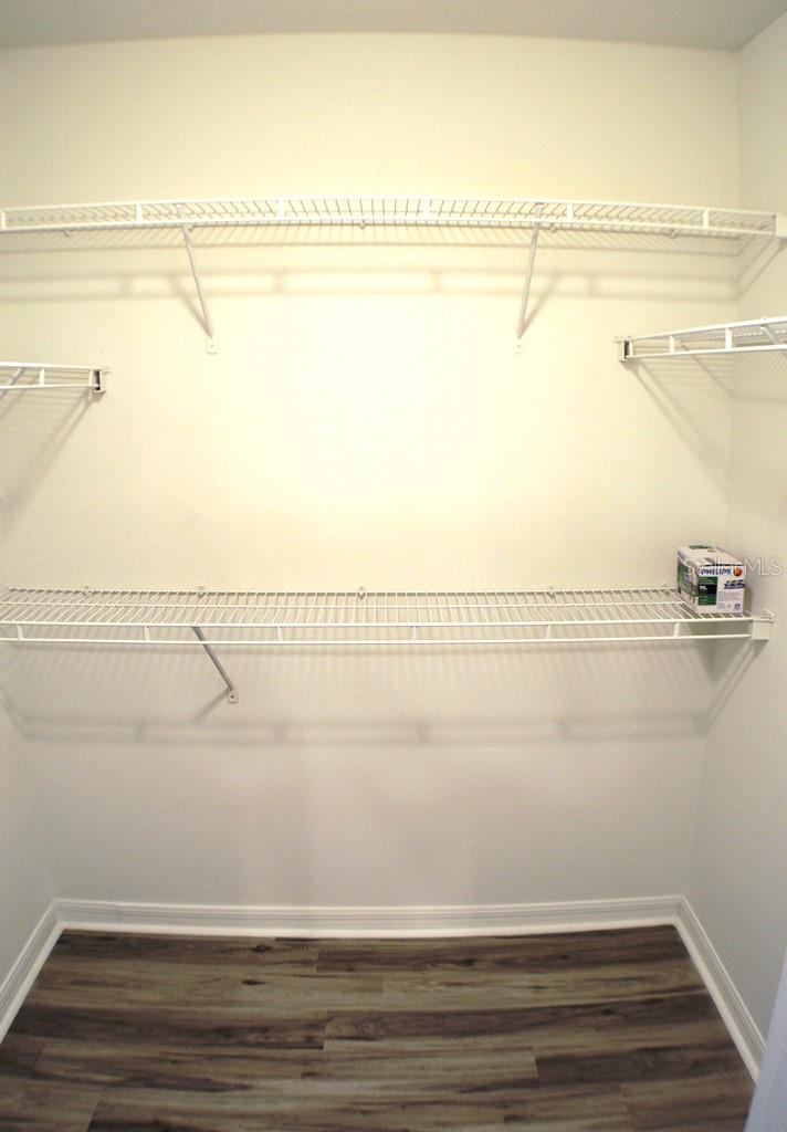 1017 TAWNY EAGLE DR, GROVELAND, FL, 34736