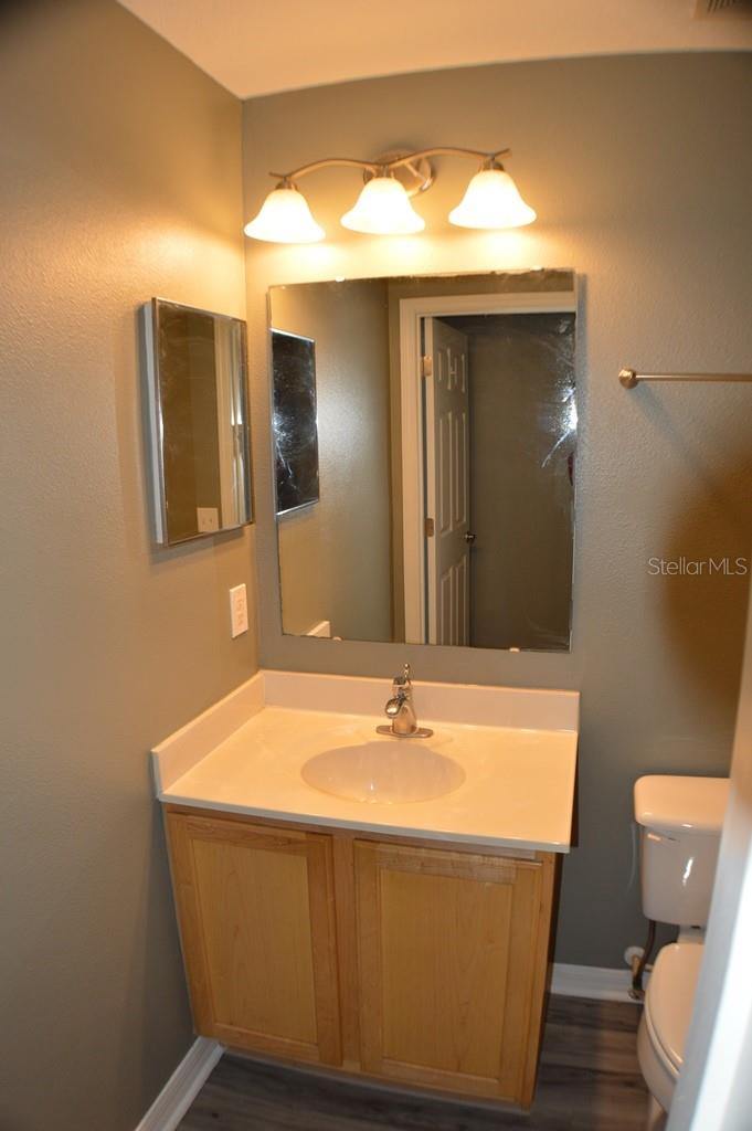 1017 TAWNY EAGLE DR, GROVELAND, FL, 34736