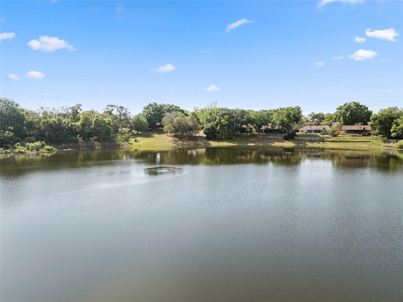 1017 AMERICAN BEAUTY ST, ORLANDO, FL, 32818