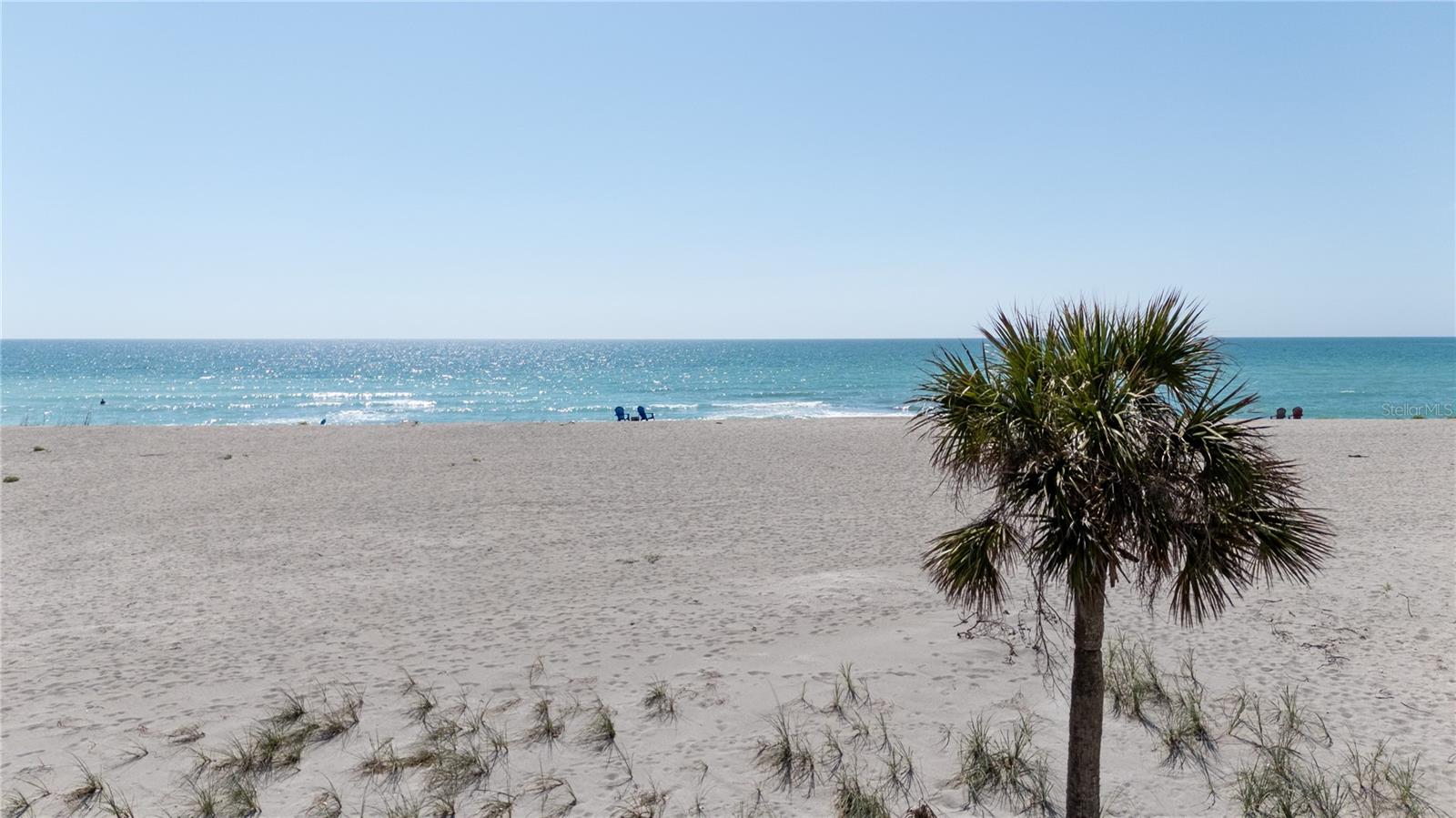 1100 TARPON CENTER DR #102B, VENICE, FL, 34285