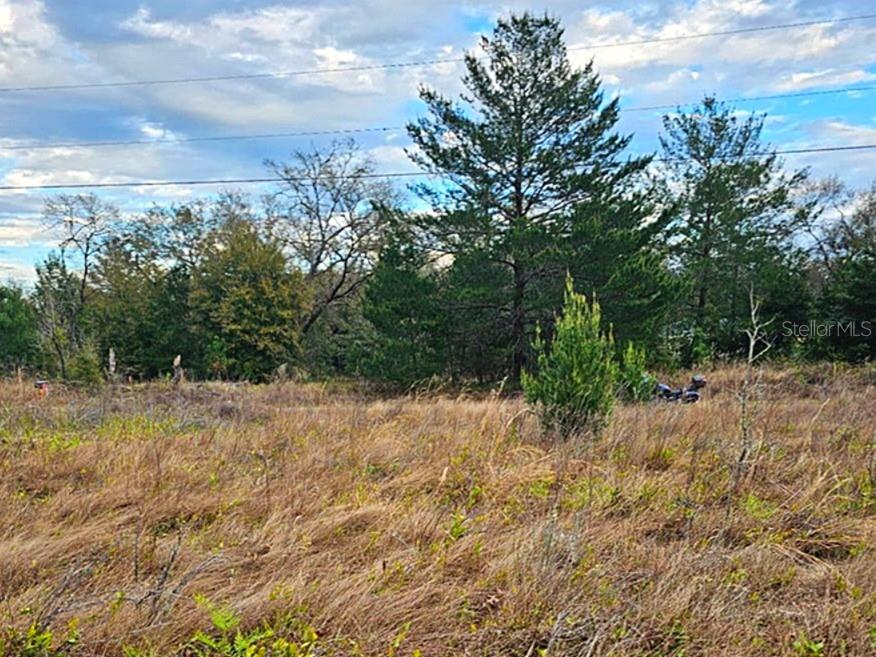 SILVER SPRINGS SHORES #42, OCALA, FL, 34472